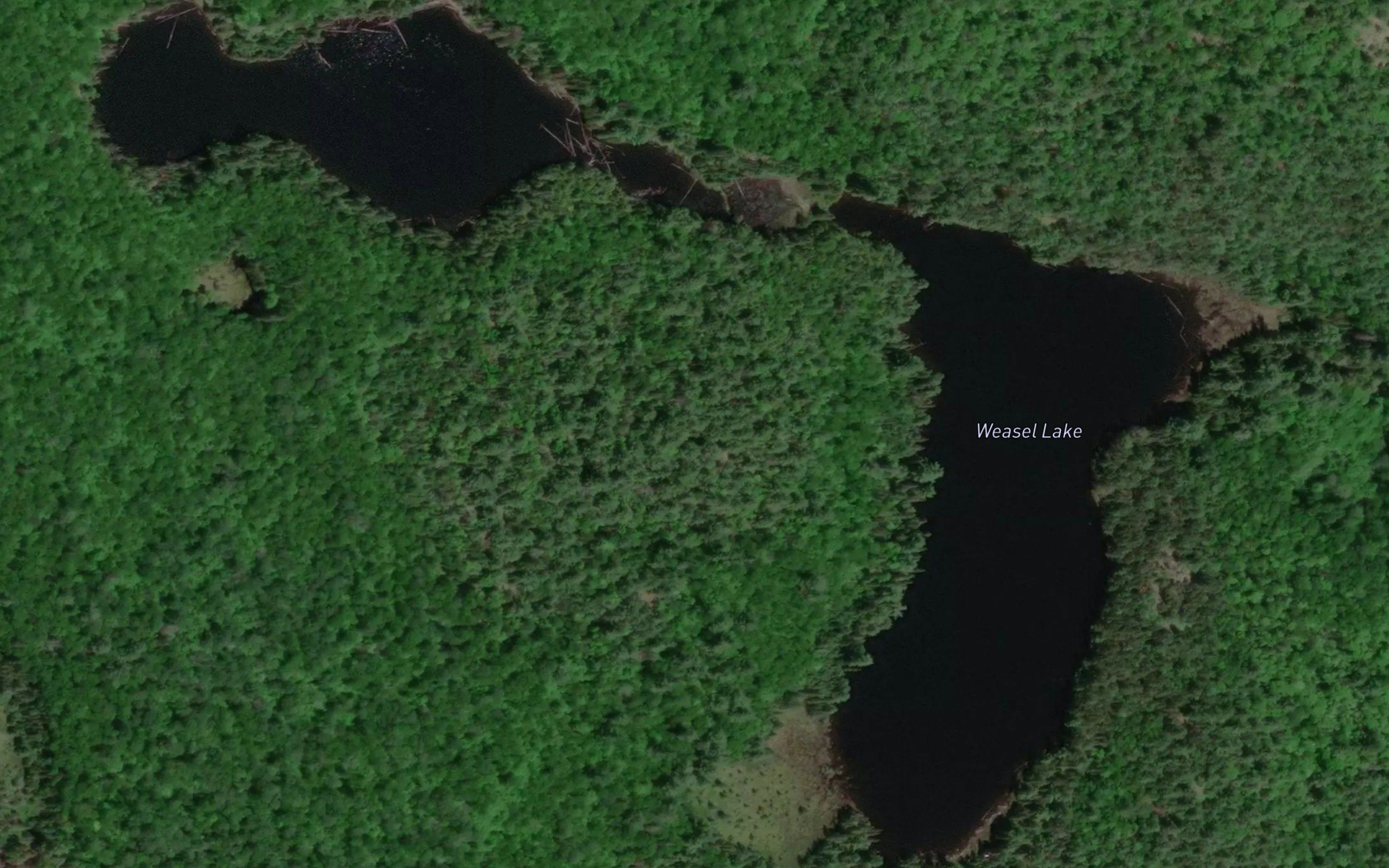Weasel Lake