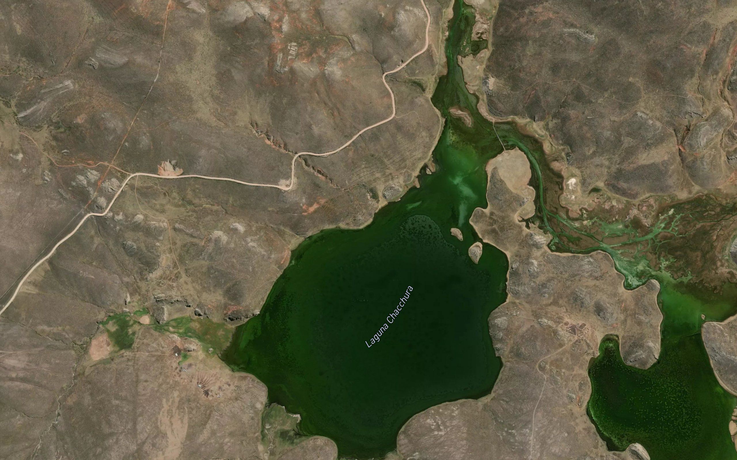 Laguna Chacchure
