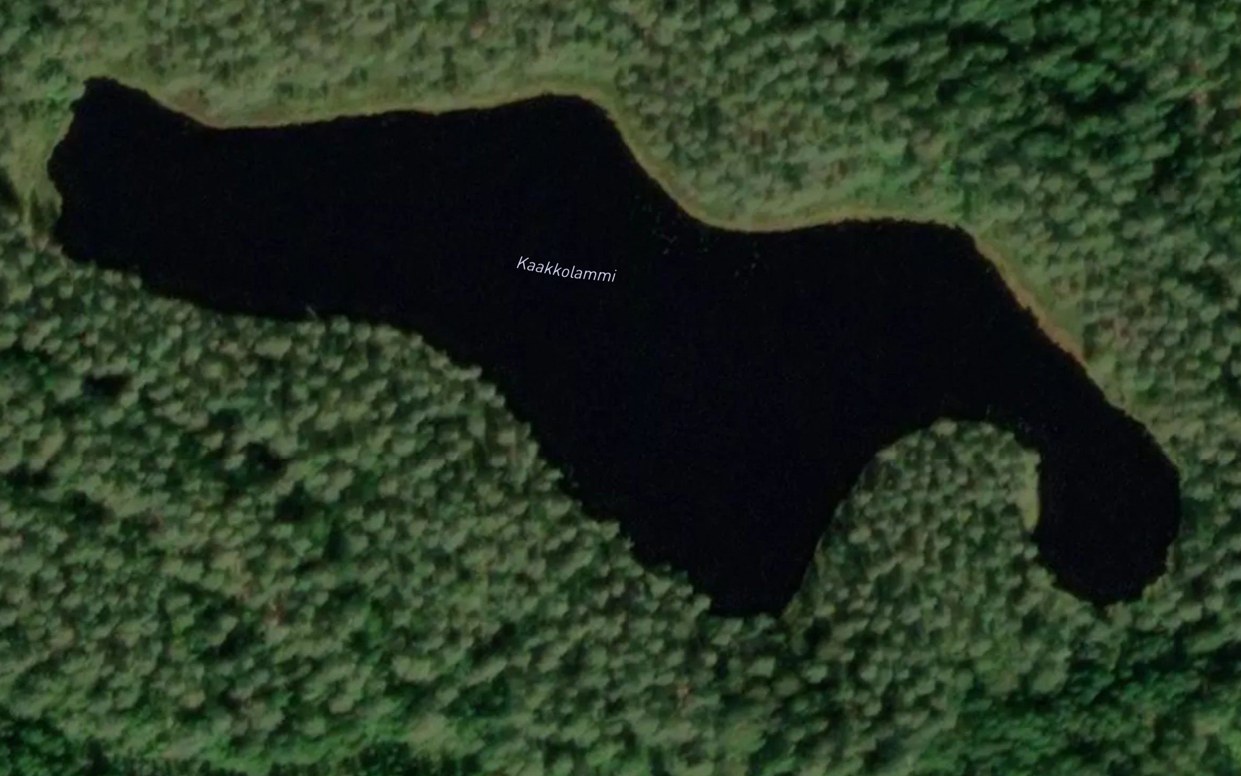 Kaakkolammi