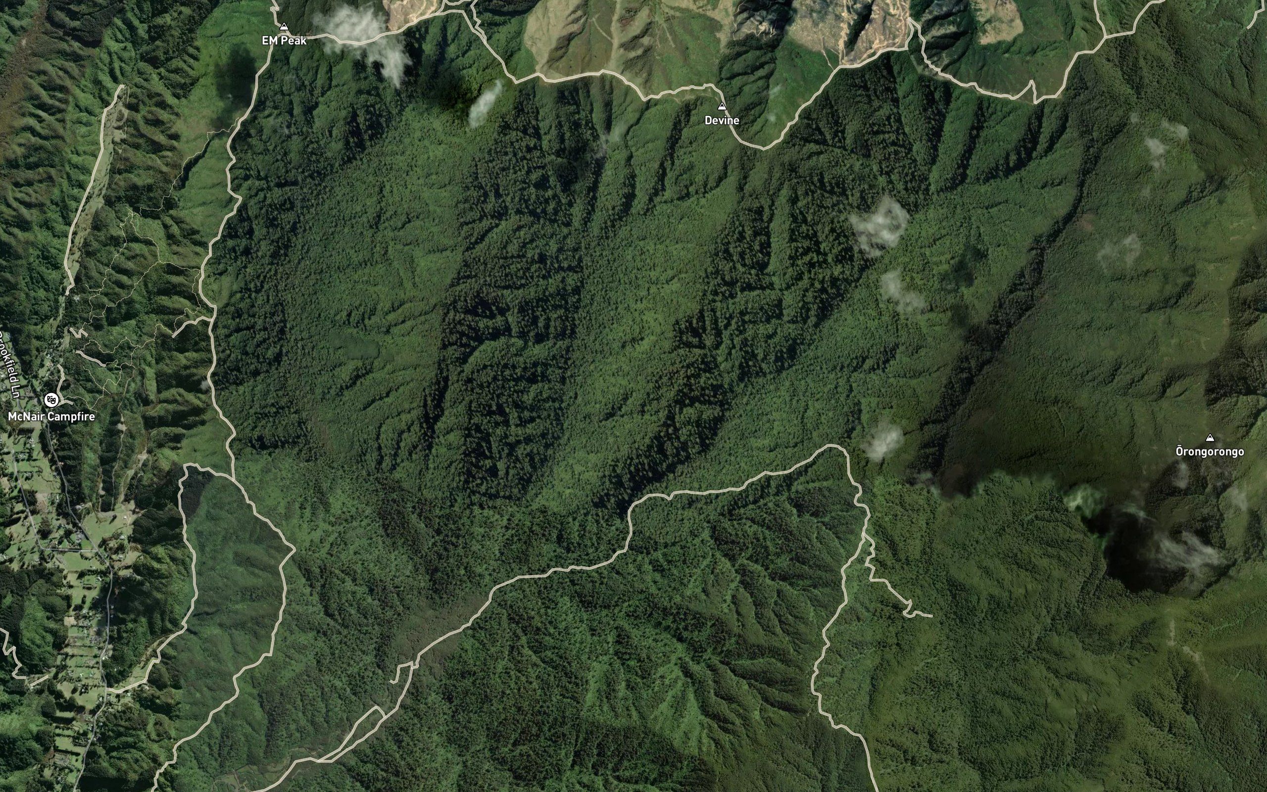 Wainuiomata River East Branch