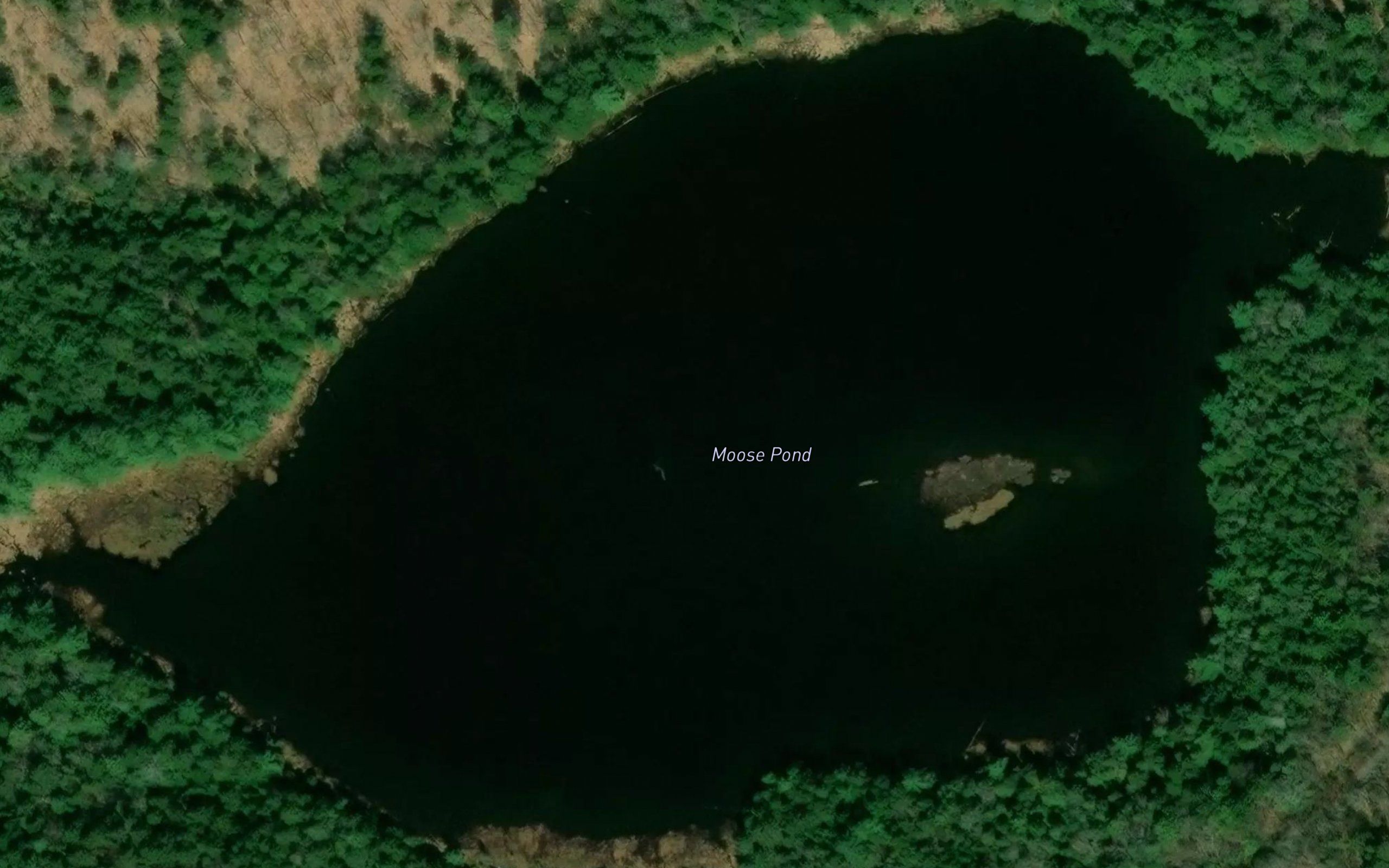 Moose Pond