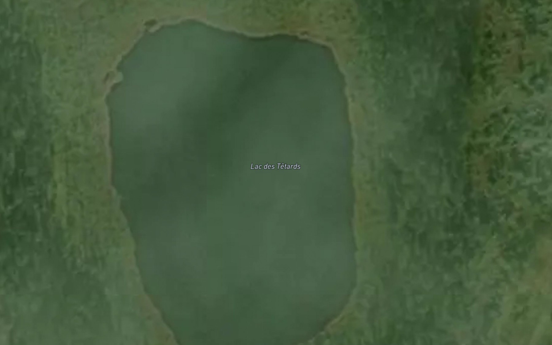 Satellite map of the Lac des Tetards