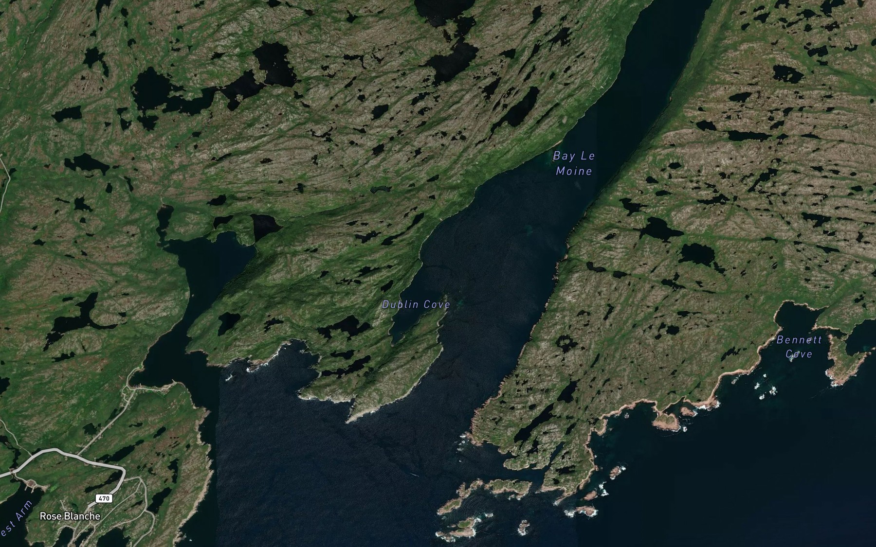 Satellite map of the Dublin Cove
