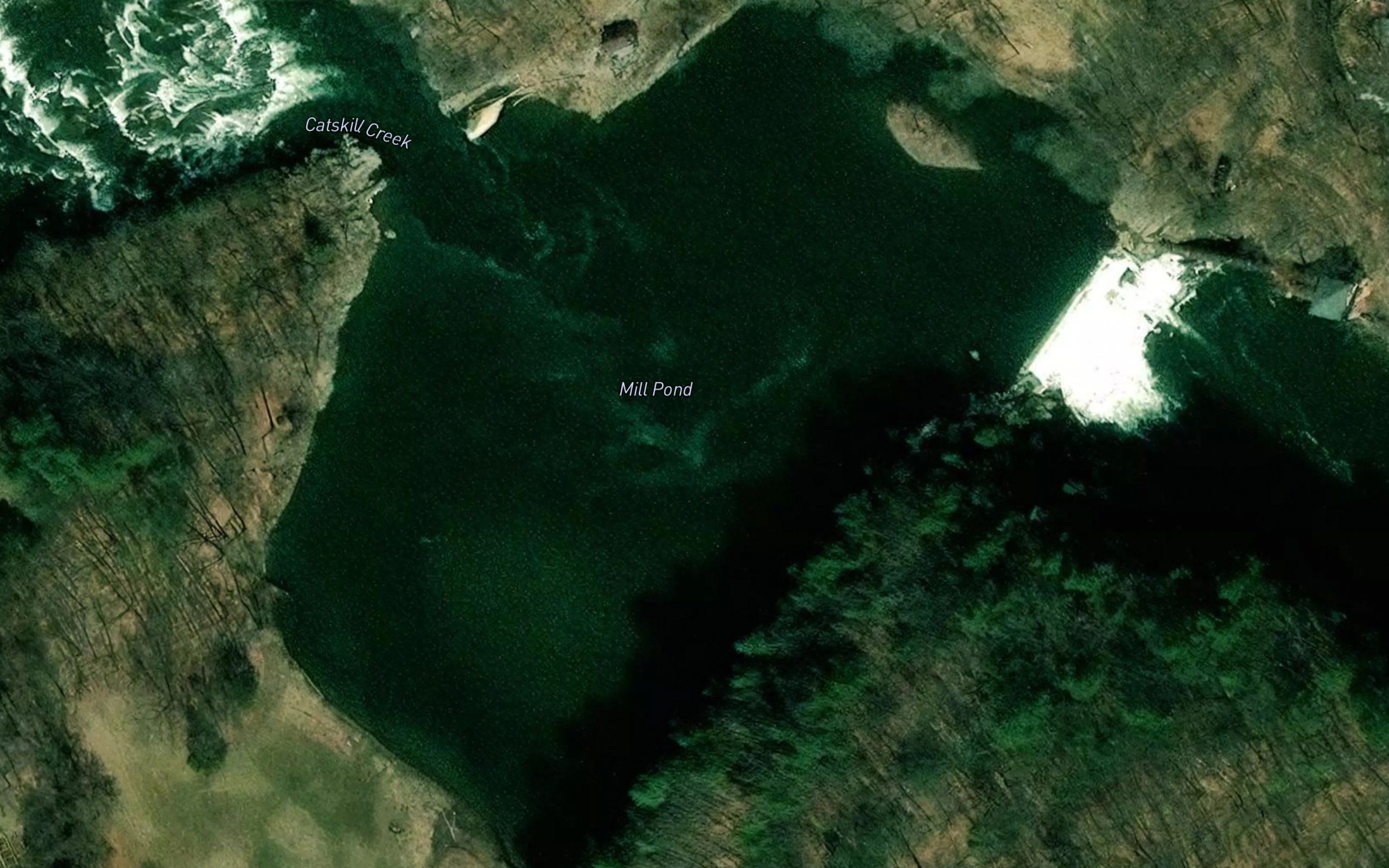 Mill Pond