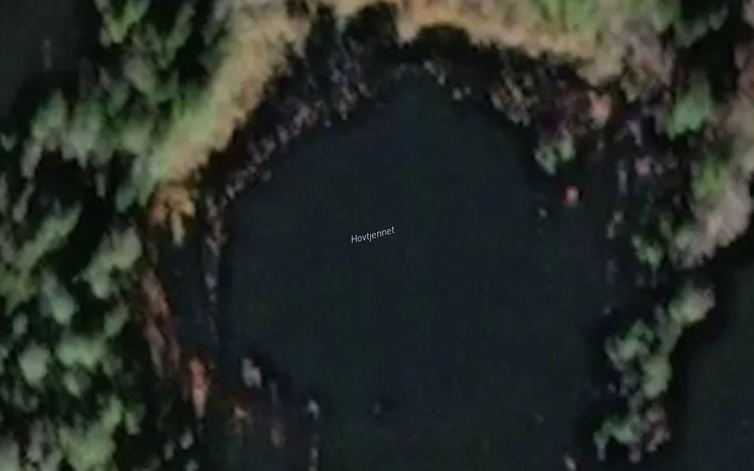 Hovtjennet