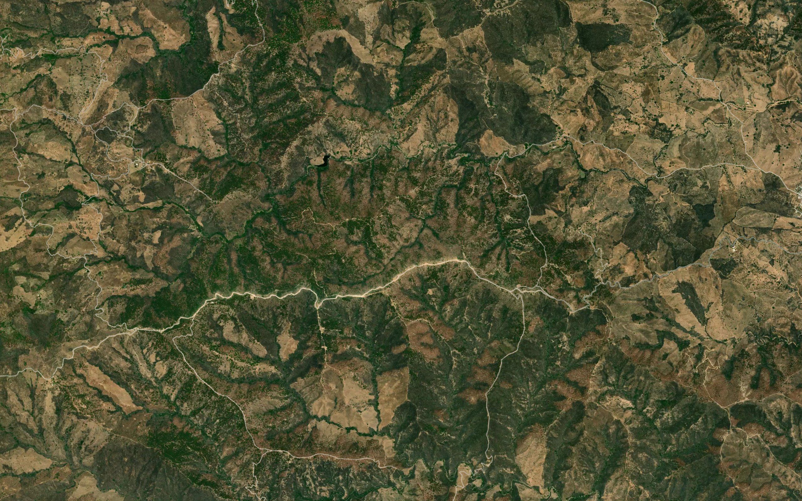 Barranca La Higuerita