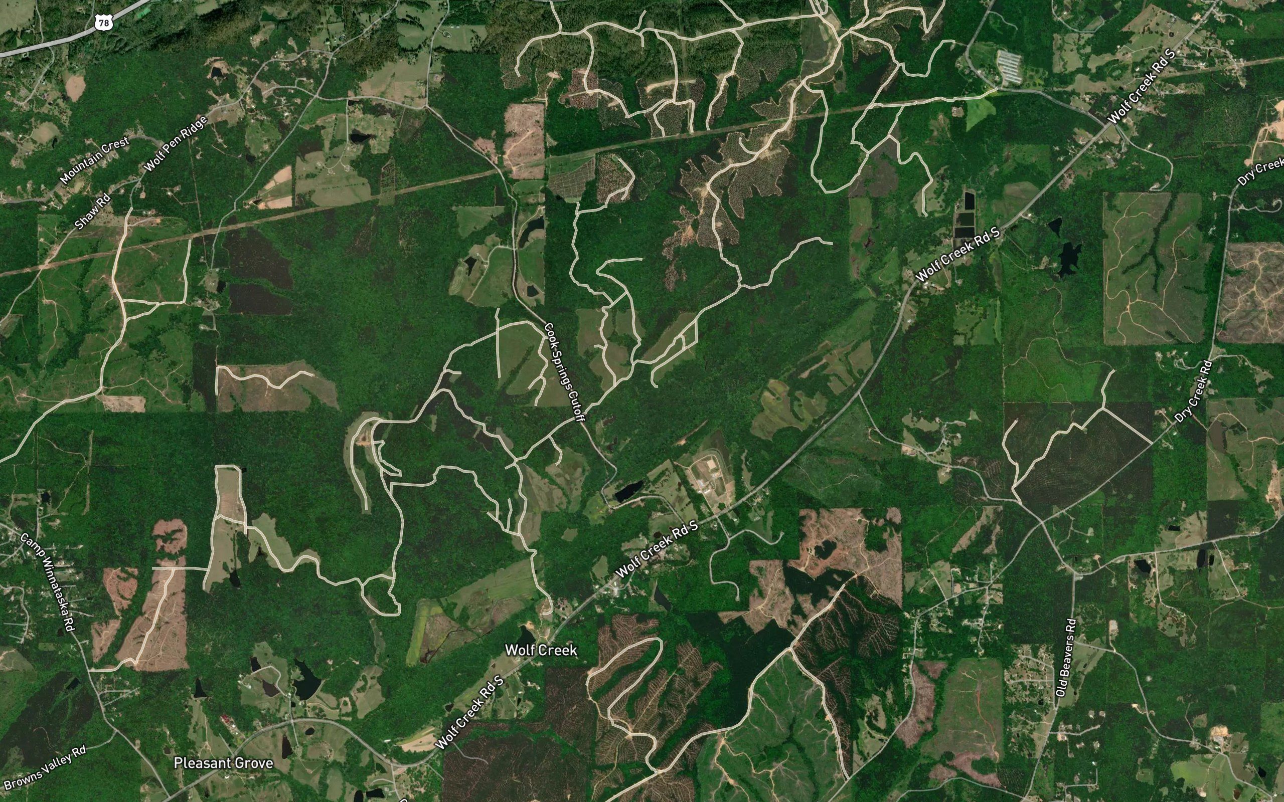 Turkey Branch