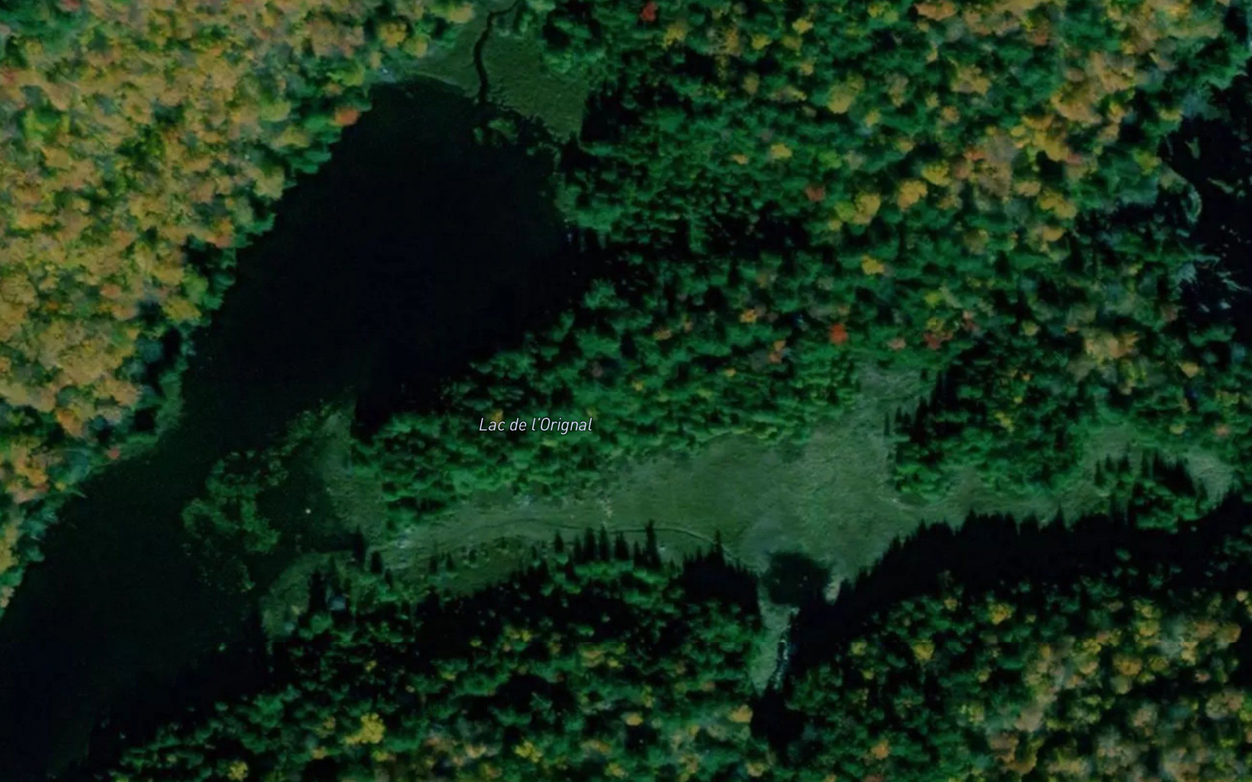 Lac de l'Orignal