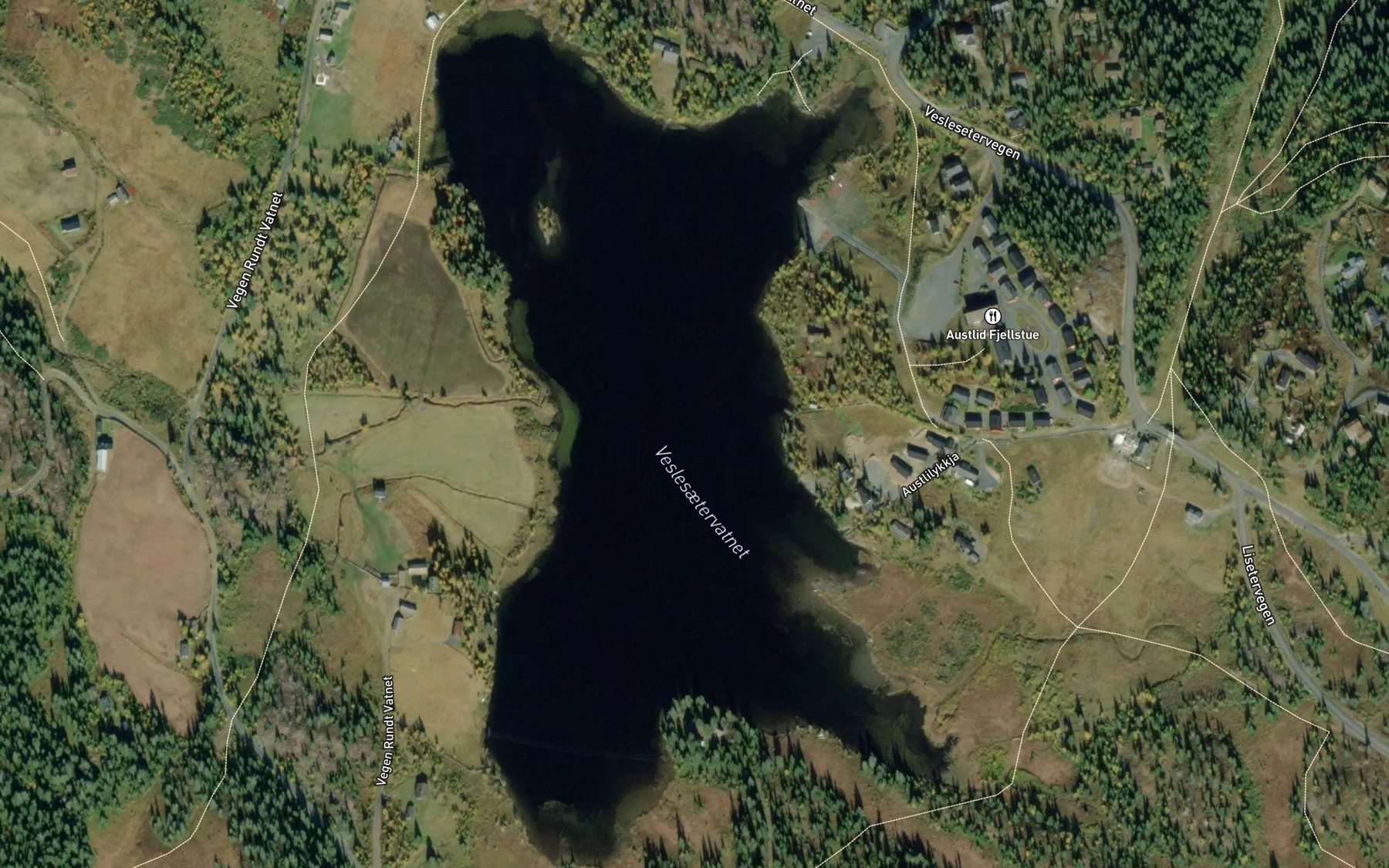 Satellite map of the Veslesaetervatnet