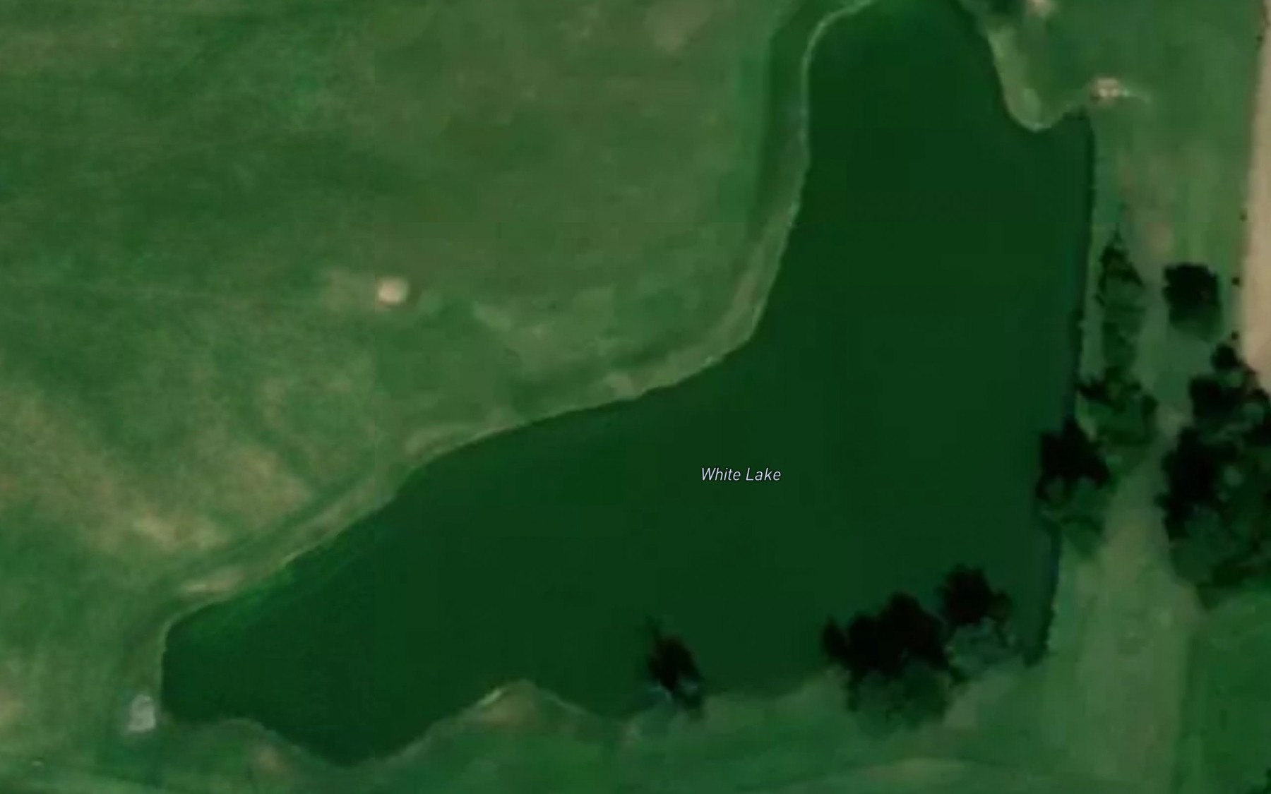 Satellite map of the White Lake