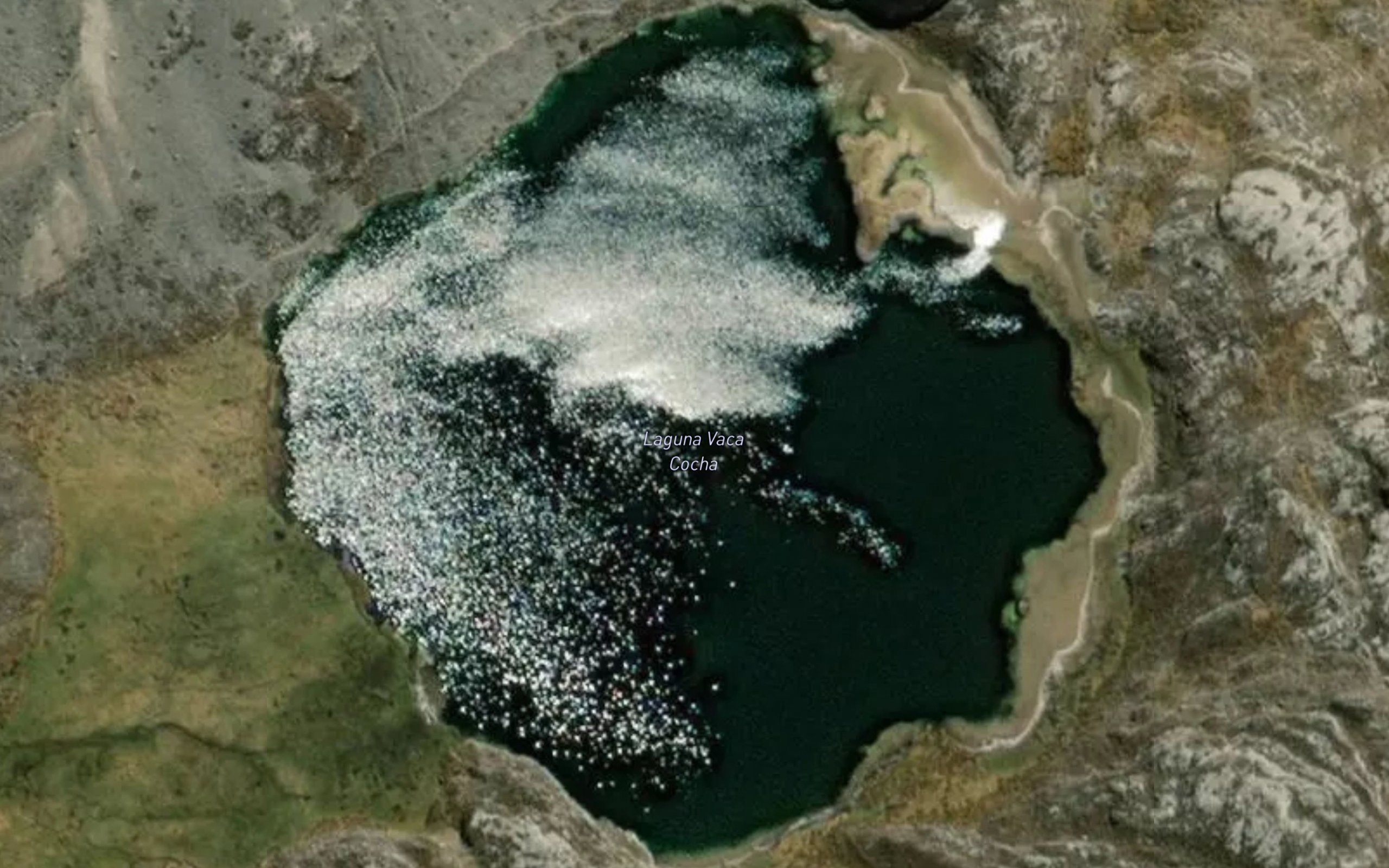 Laguna Vaca Cocha