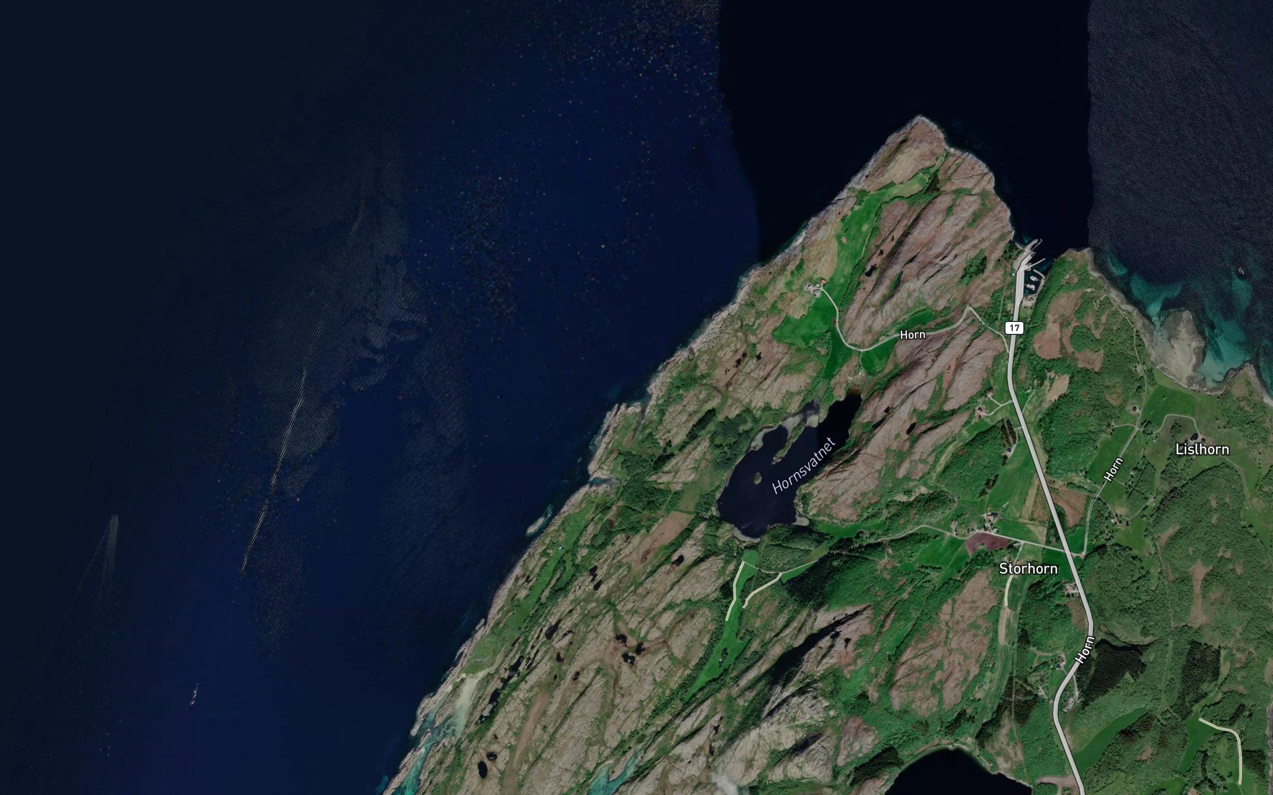 Mikkelvikja