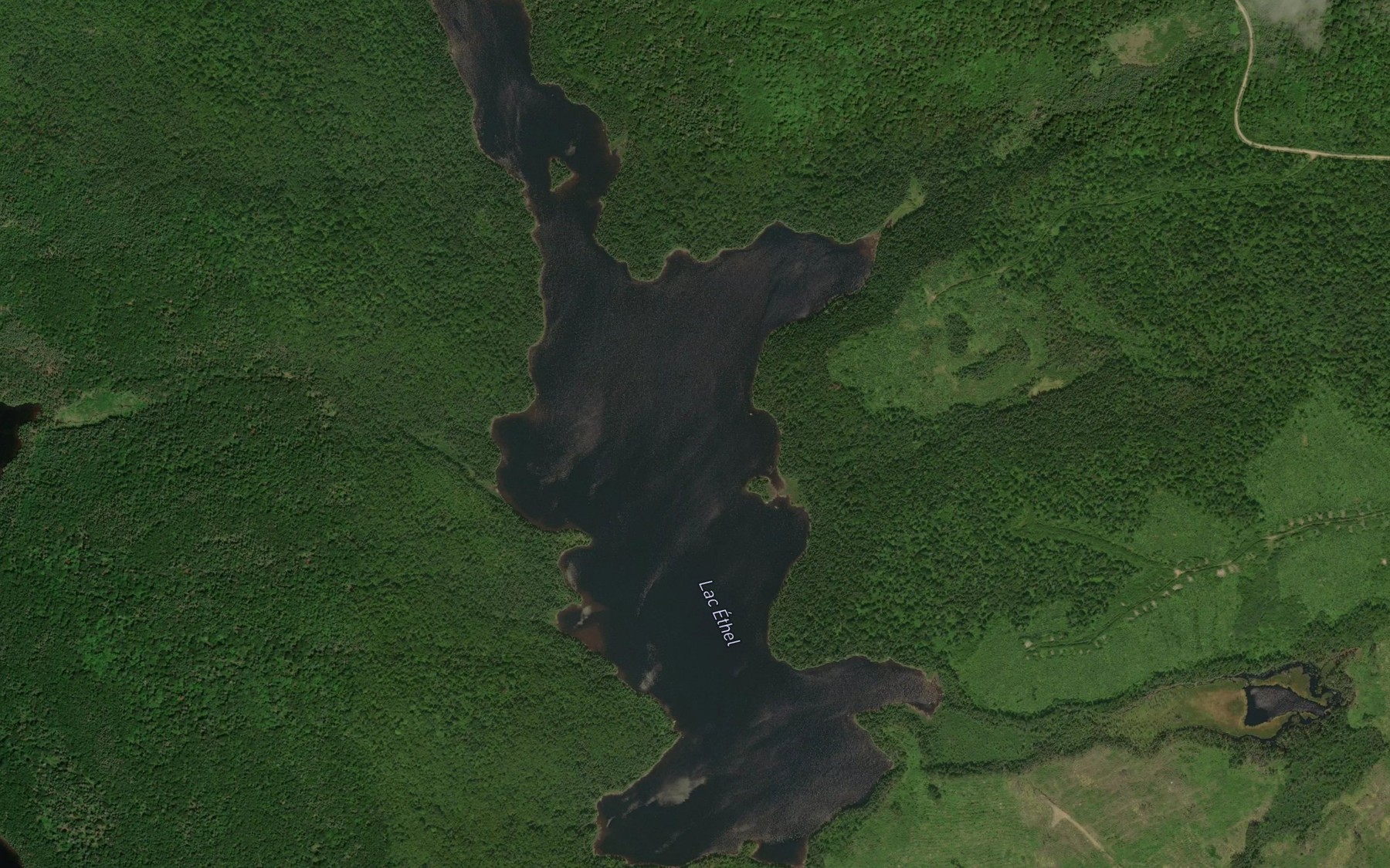 Satellite map of the Lac Ethel