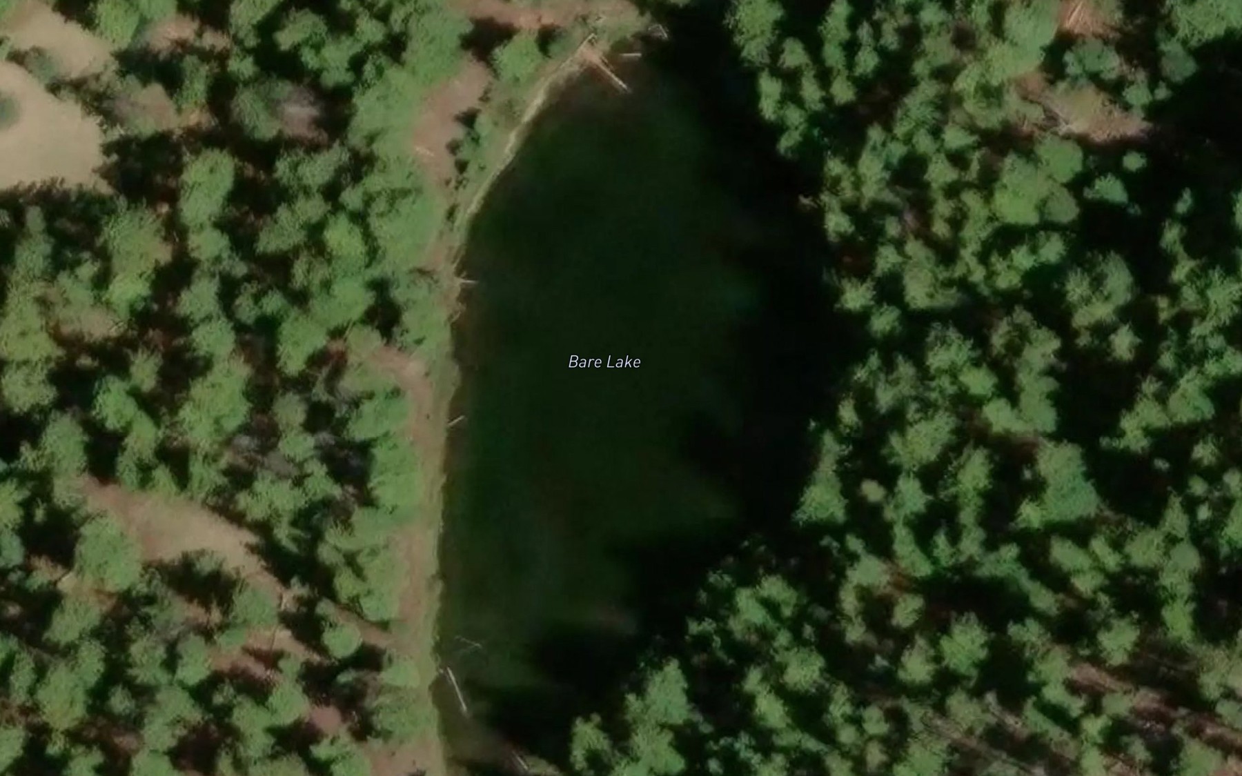 Satellite map of the Bare Lake