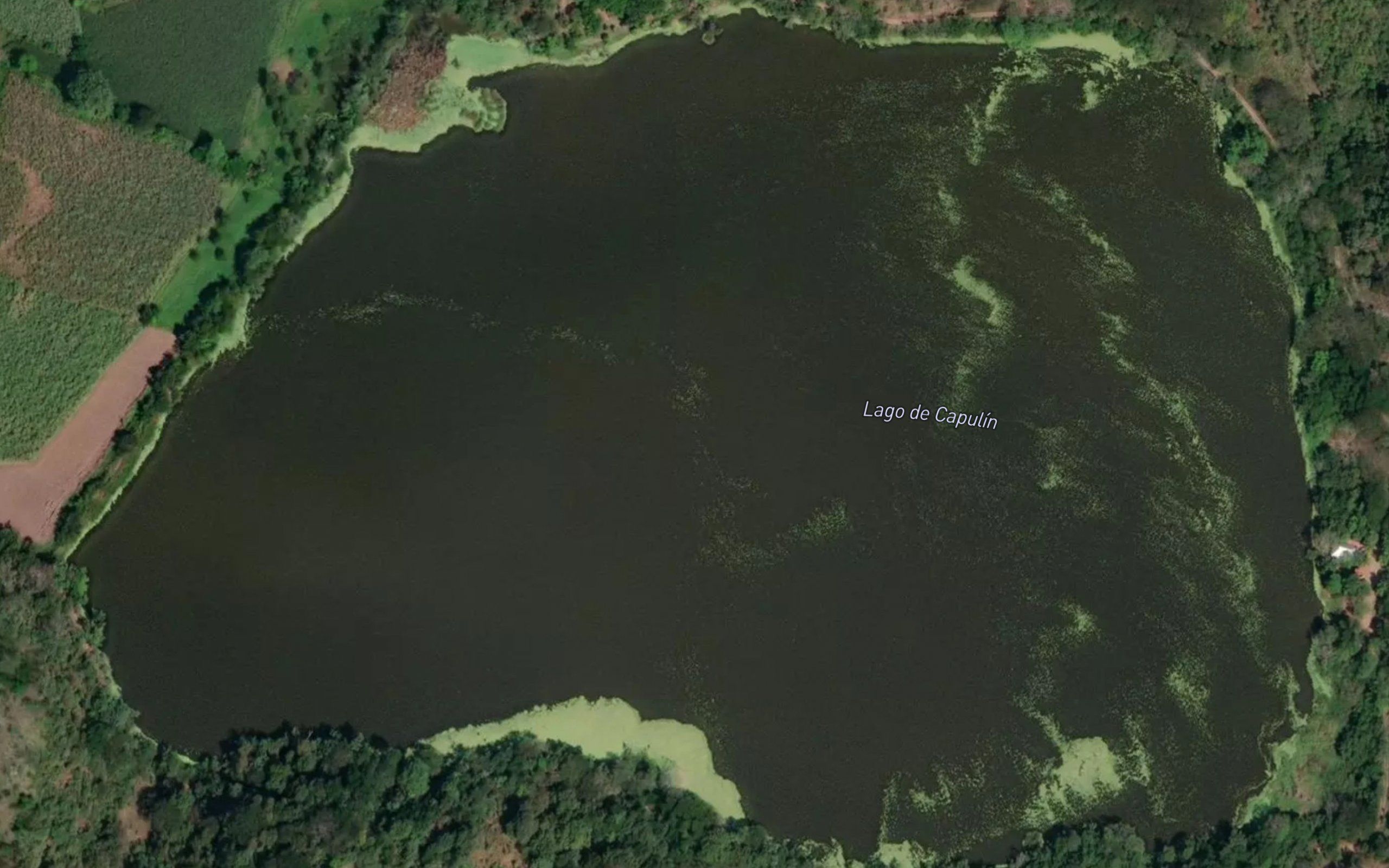 Laguna el Capulin