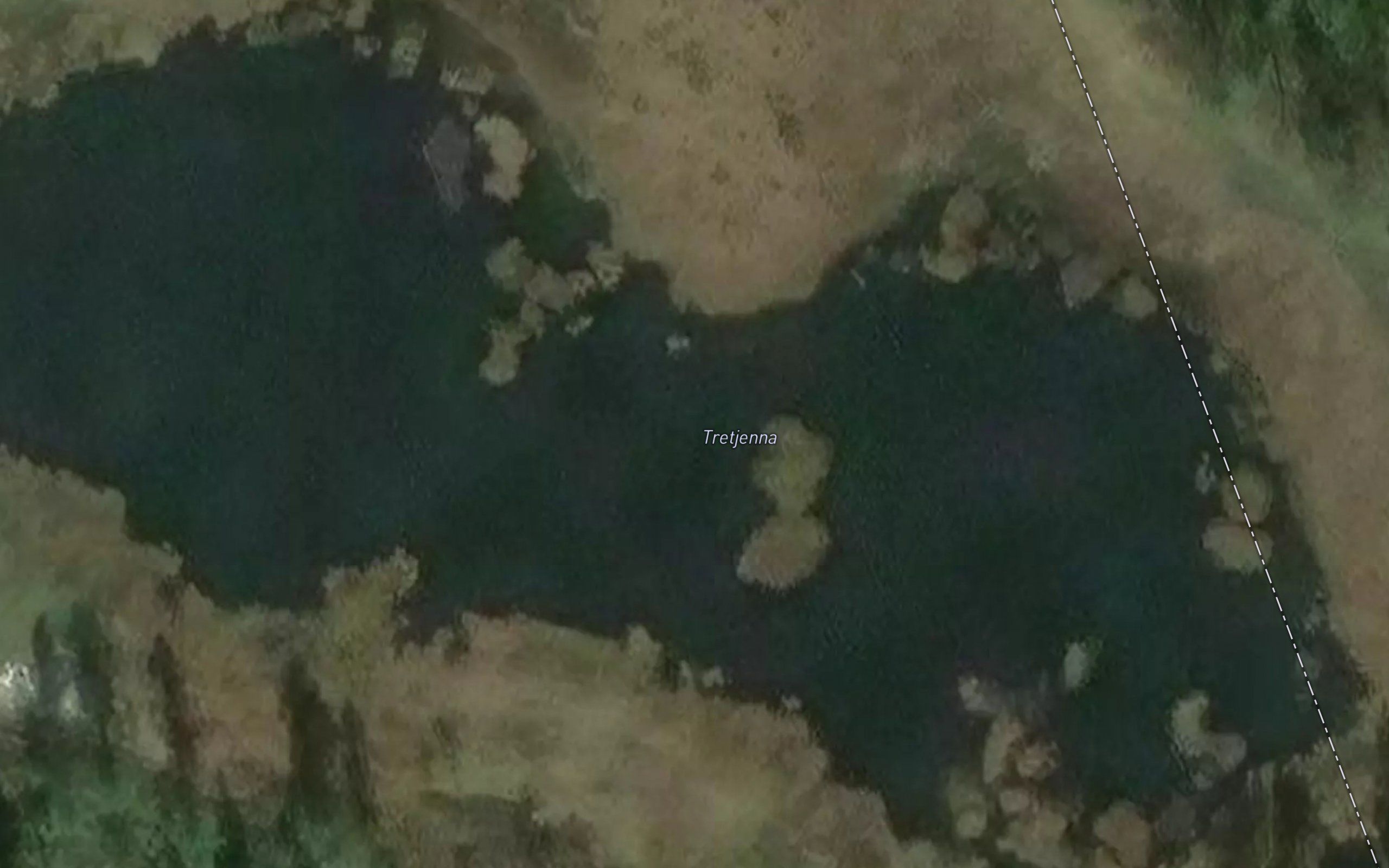 Tretjerna