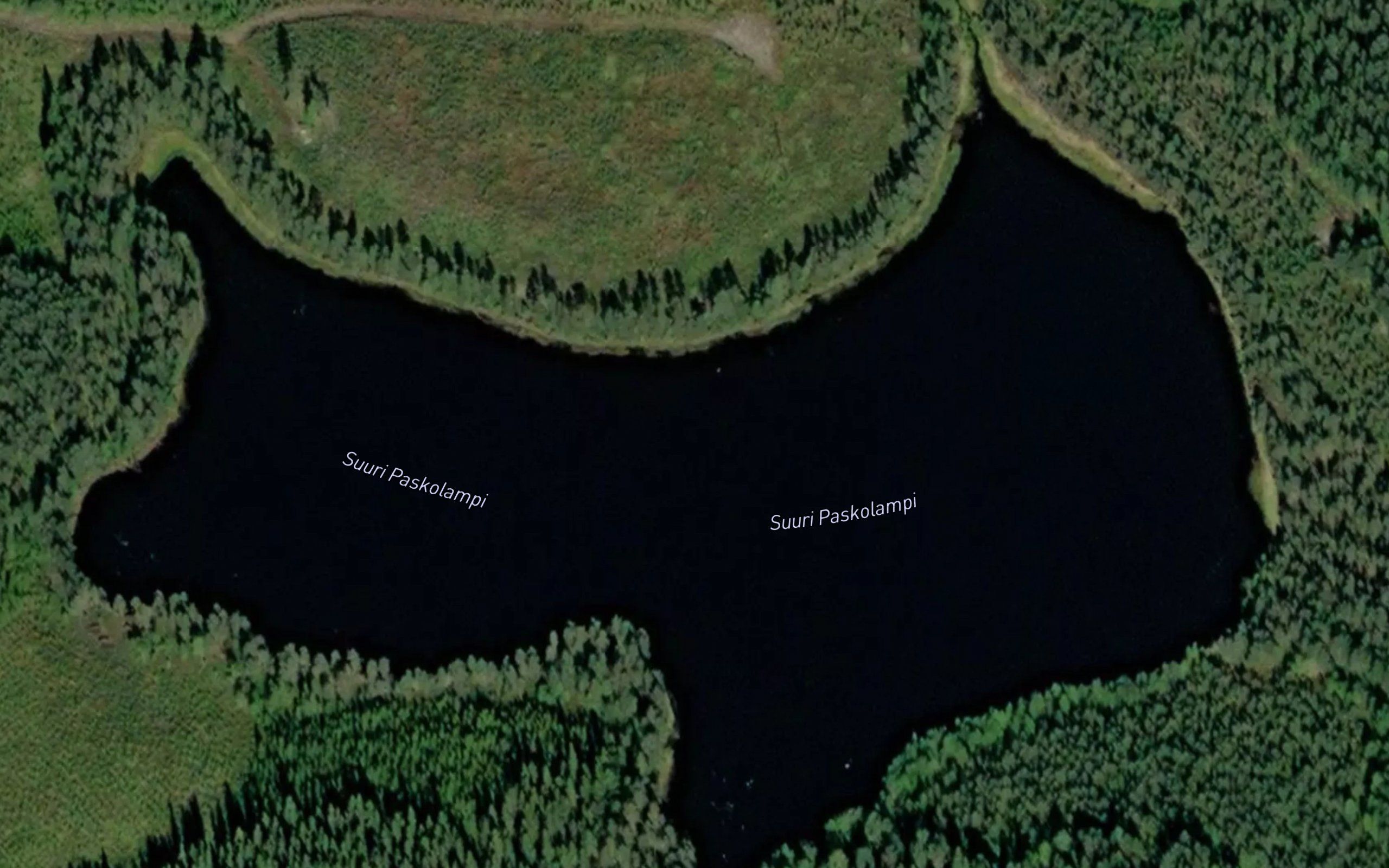 Suuri Paskolampi