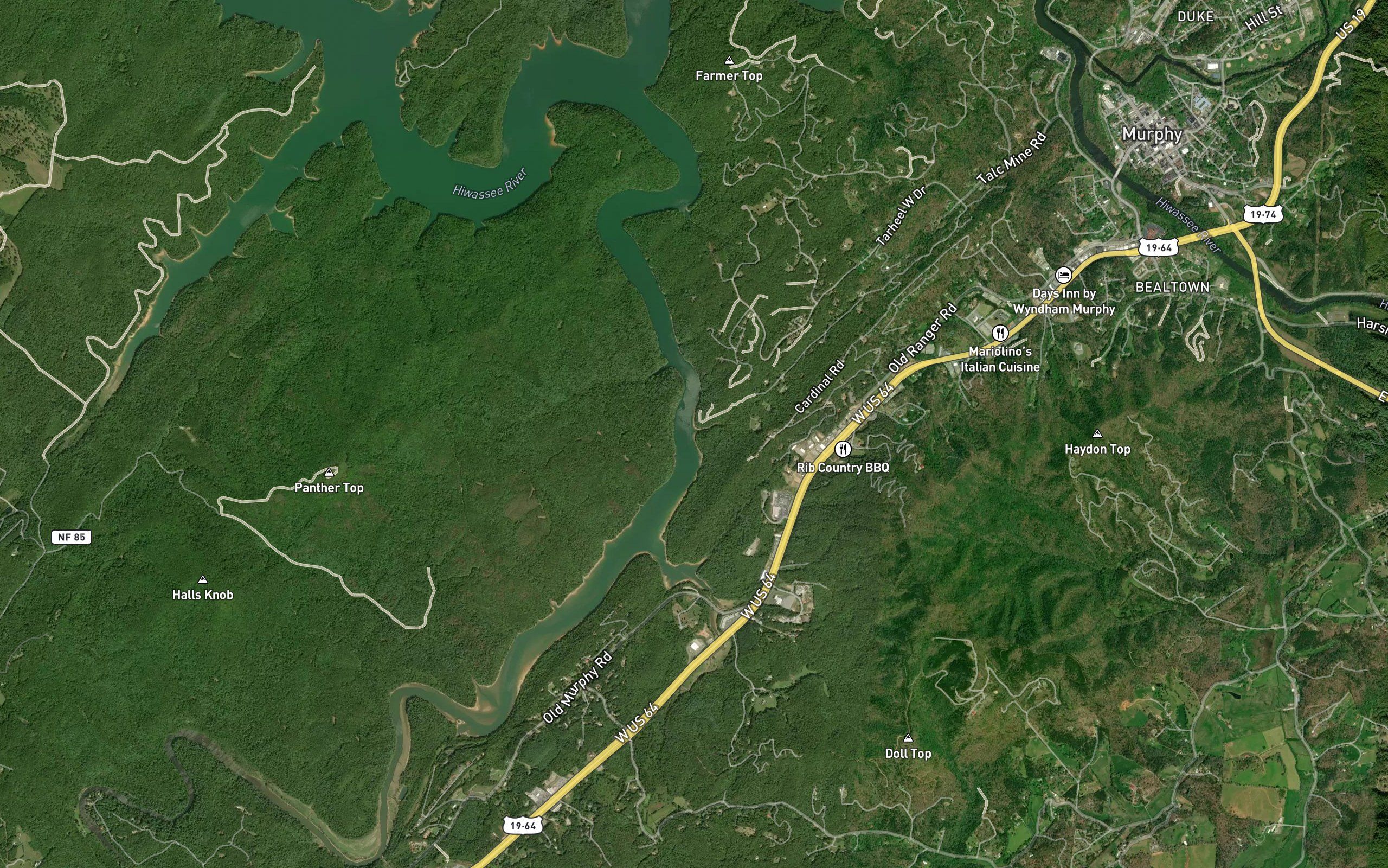 Sneed Branch