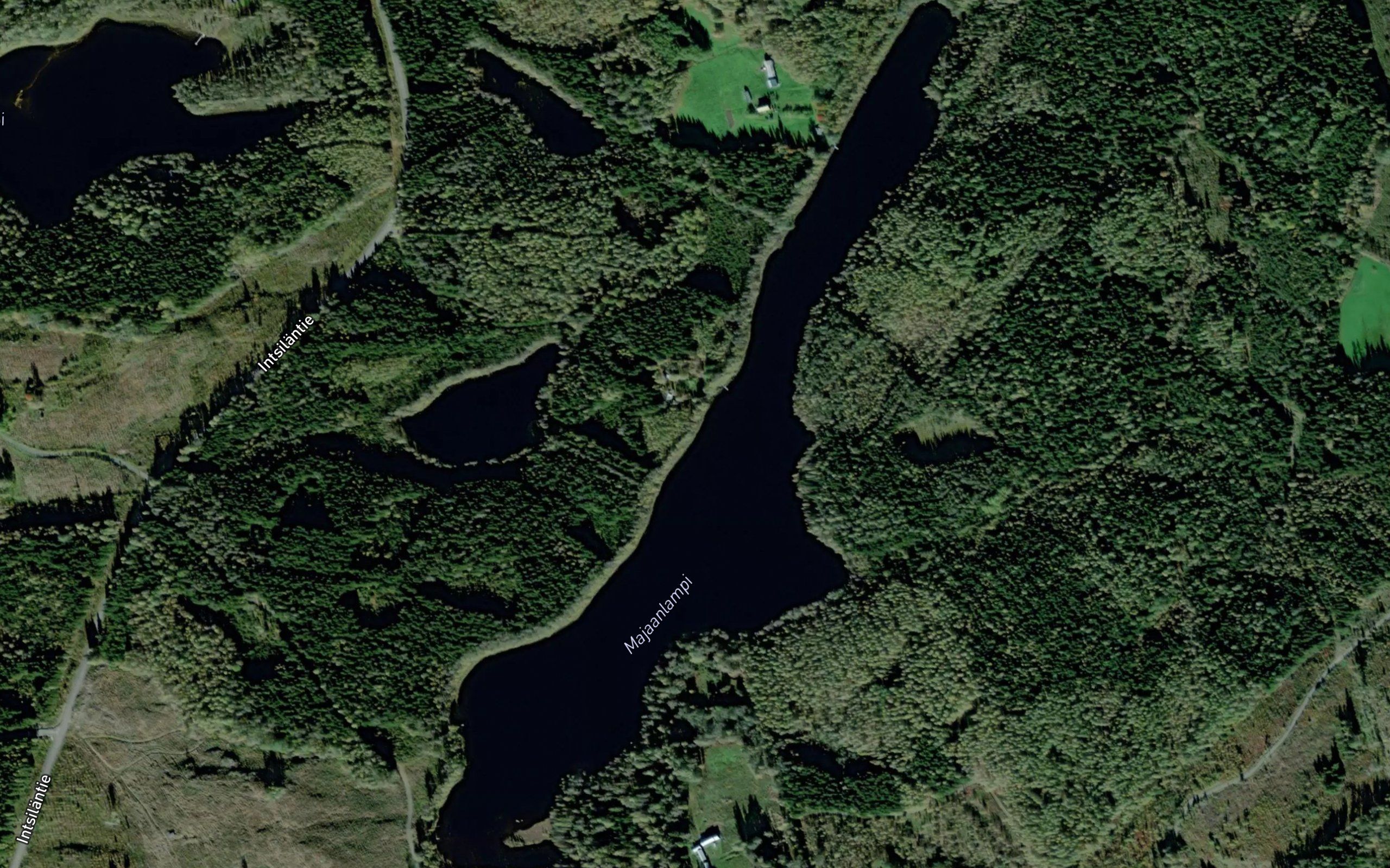 Majaanlampi