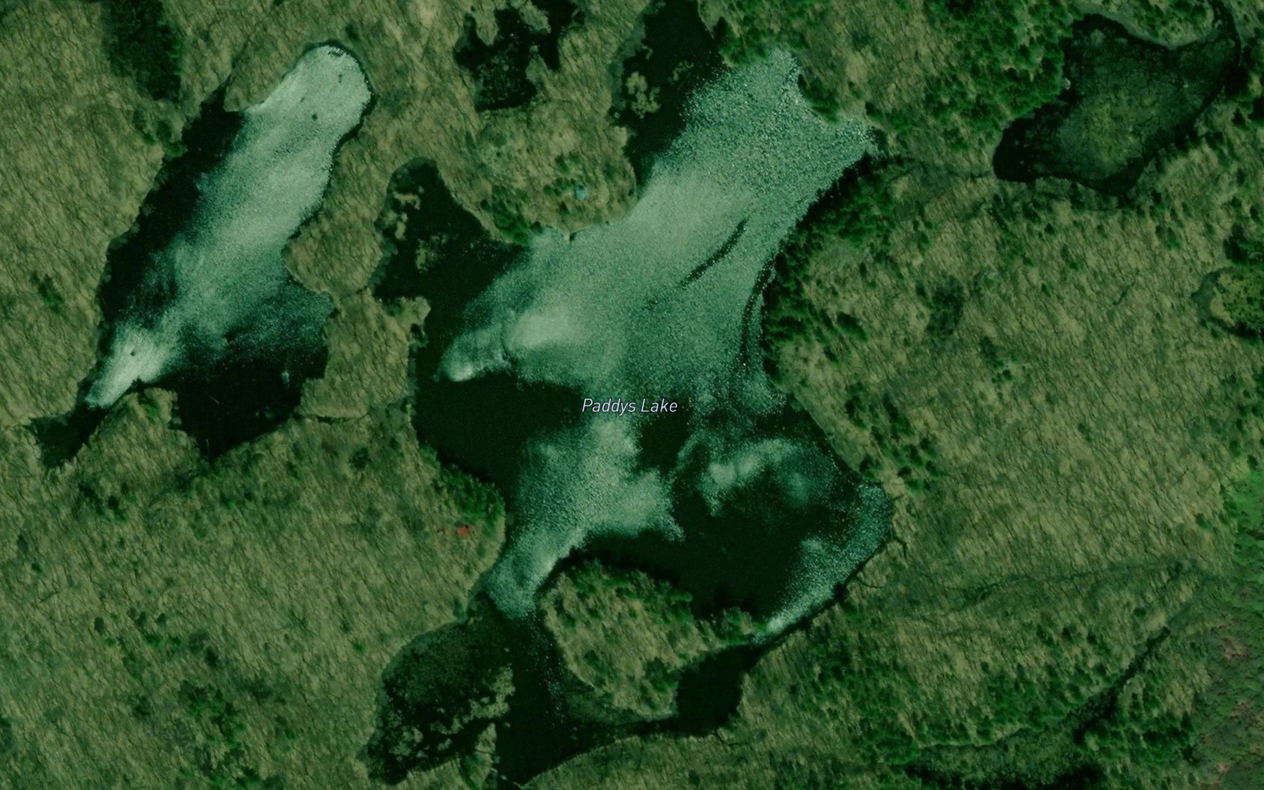 Paddys Lake