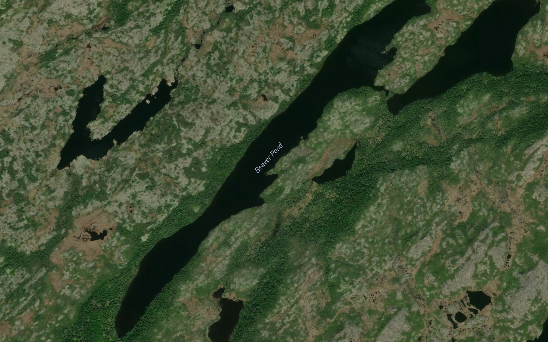 Satellite map of the Beaver Pond