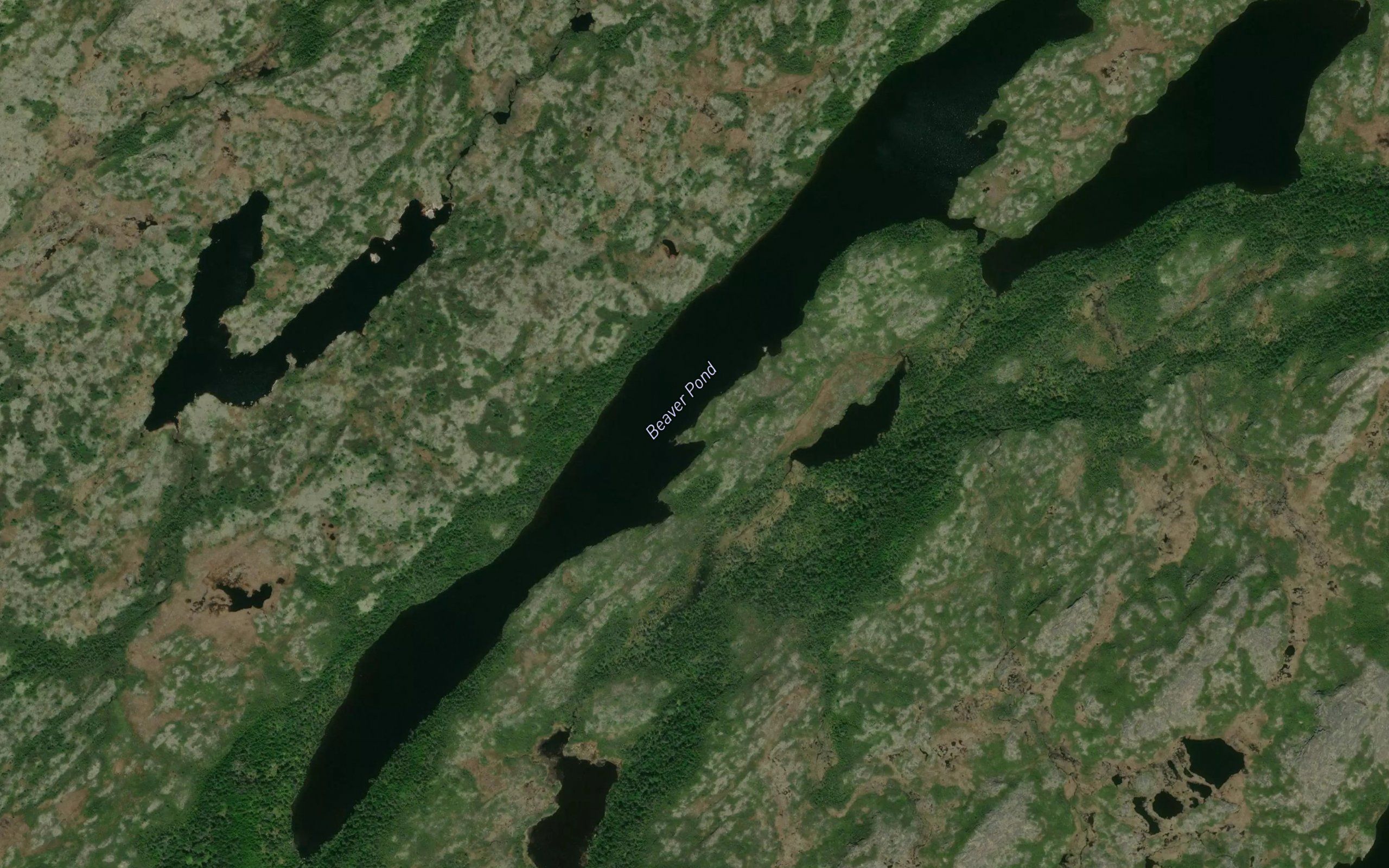 Beaver Pond