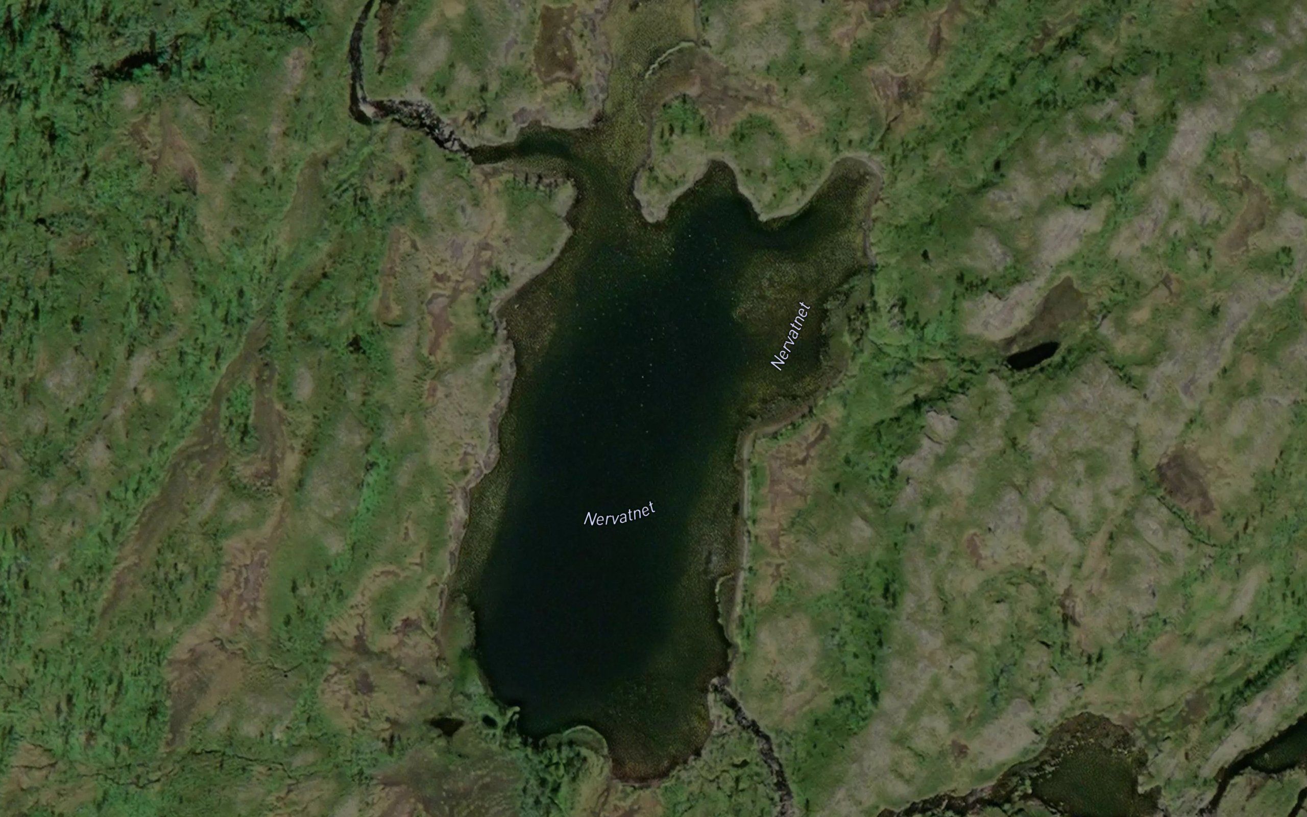 Nervatnet