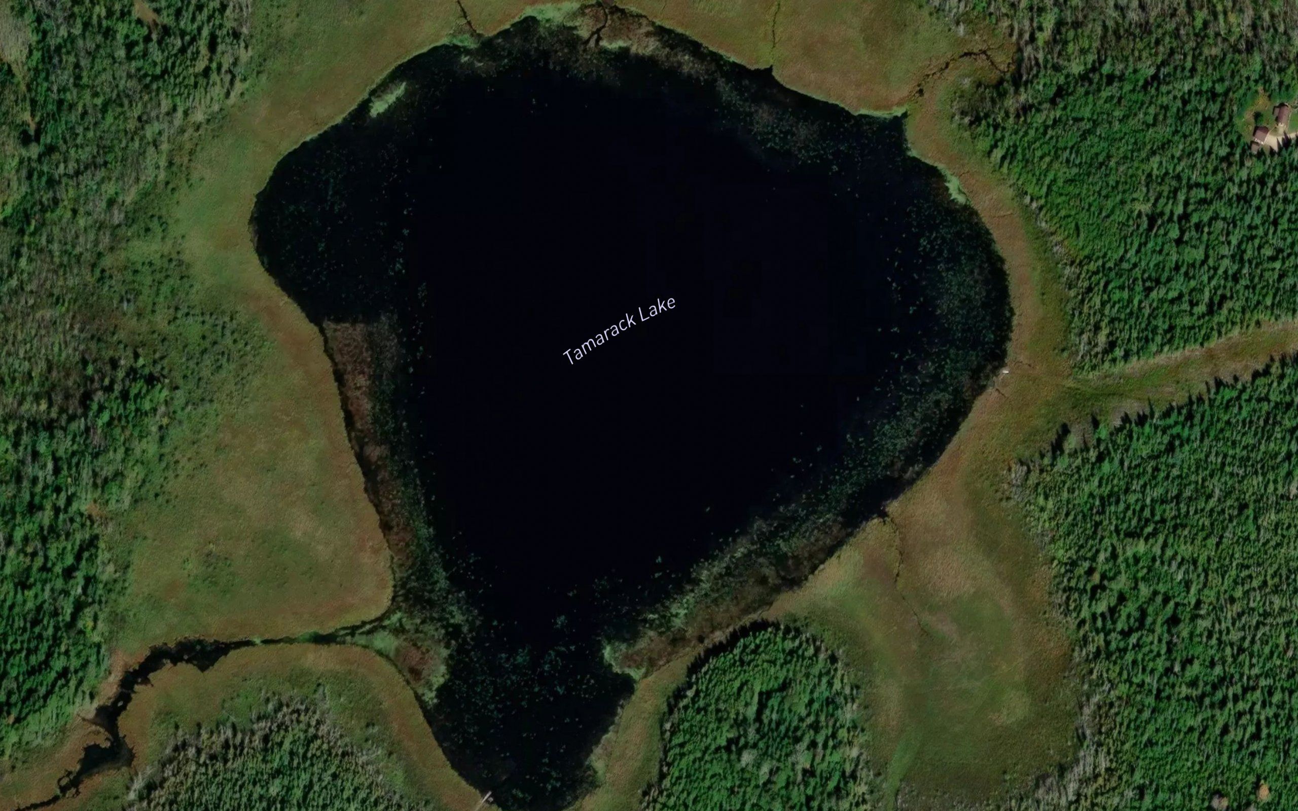 Tamarack Lake