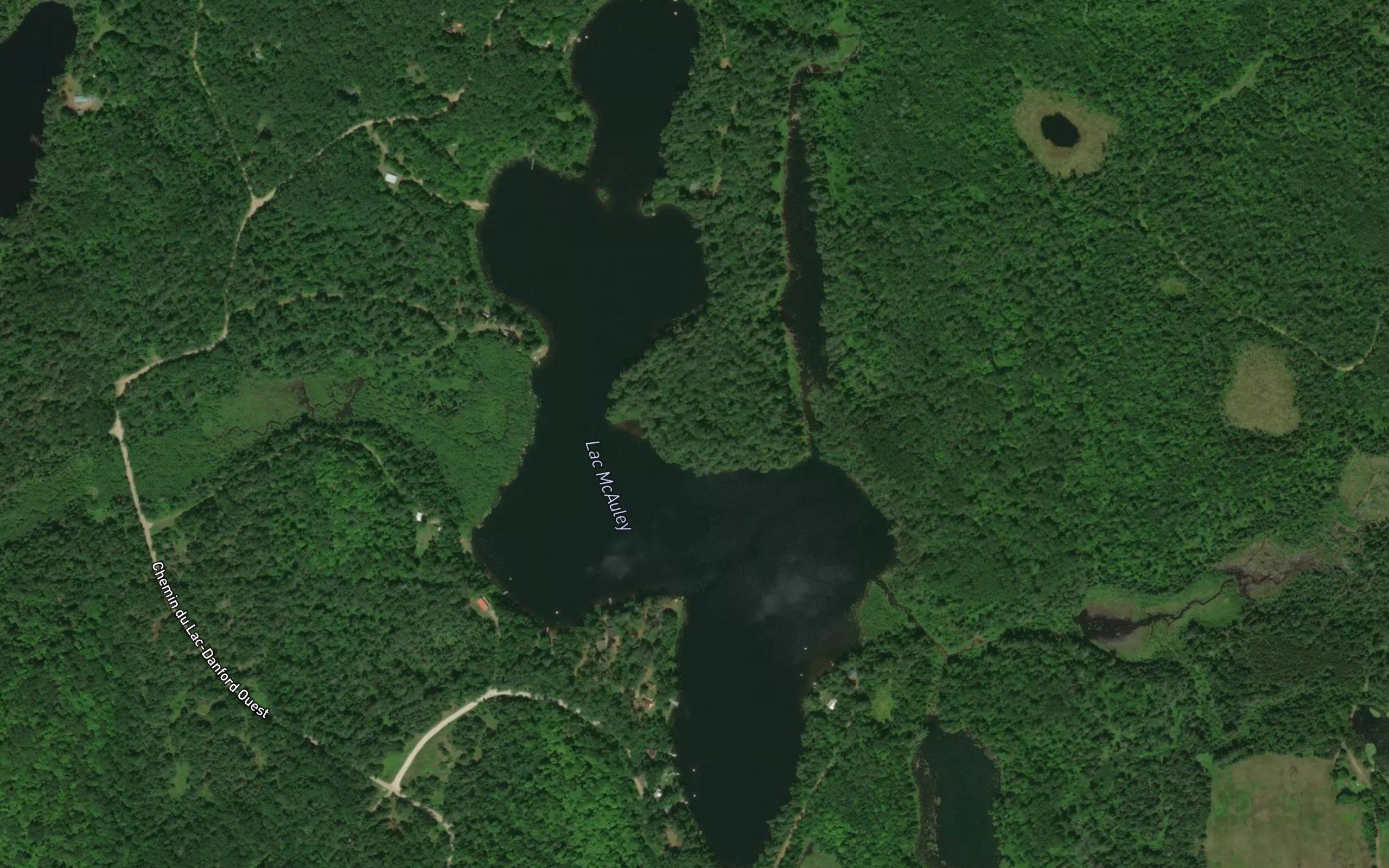 Lac McAuley