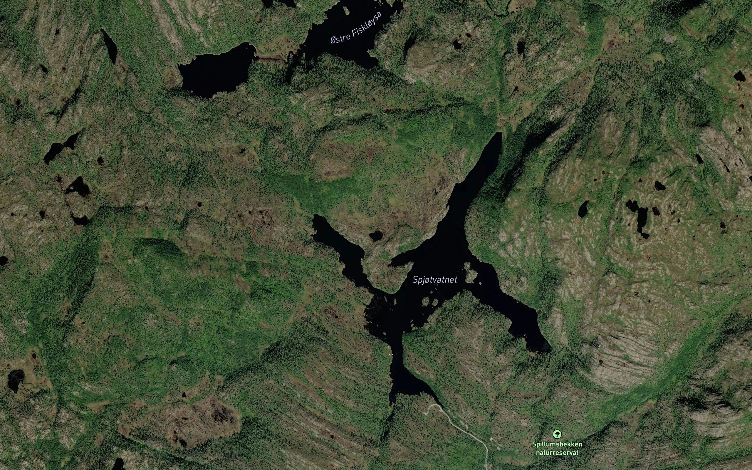 Lomtjonna