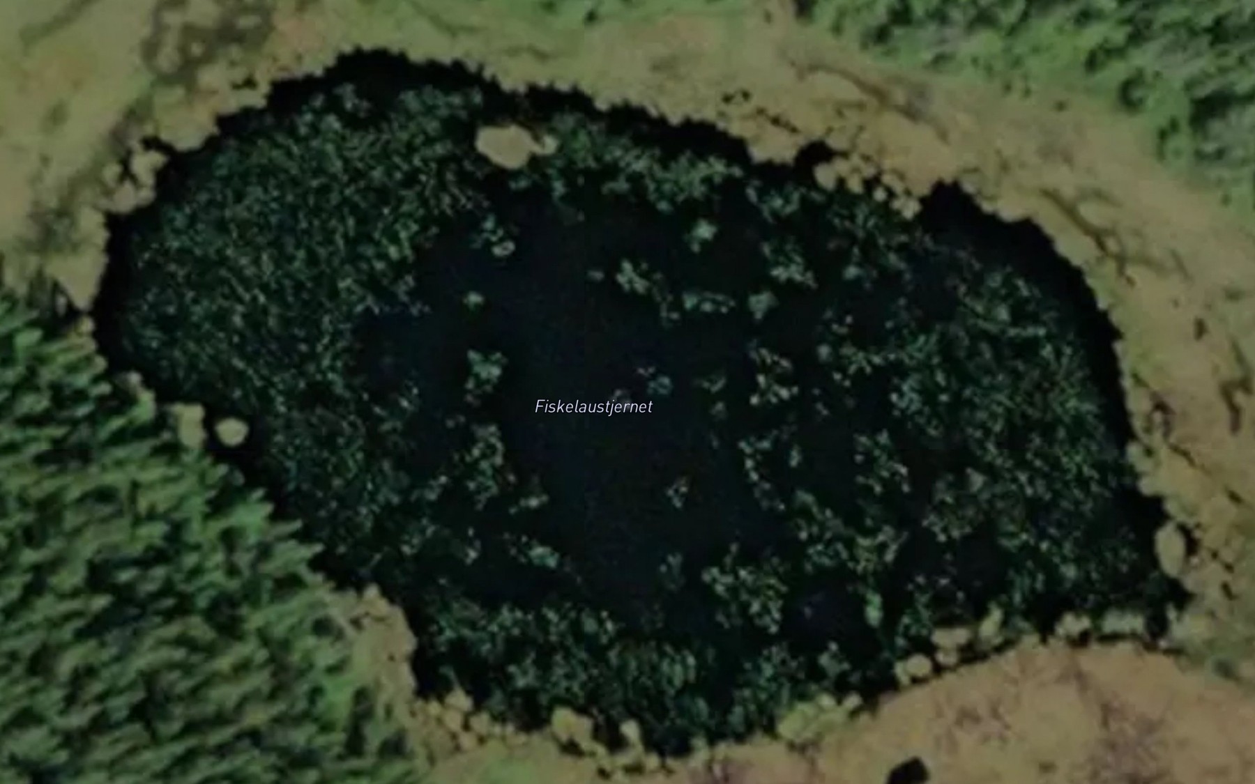 Satellite map of the Fiskelaustjernet