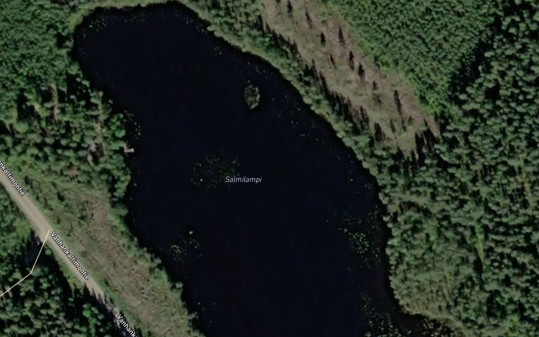 Satellite map of the Salmilampi