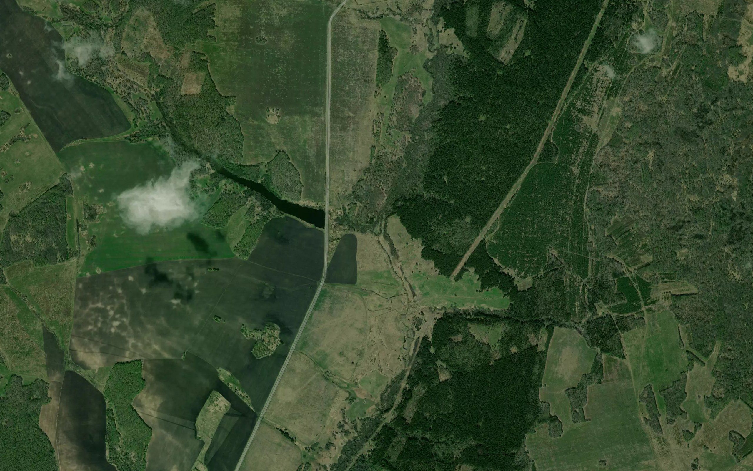 Belaya