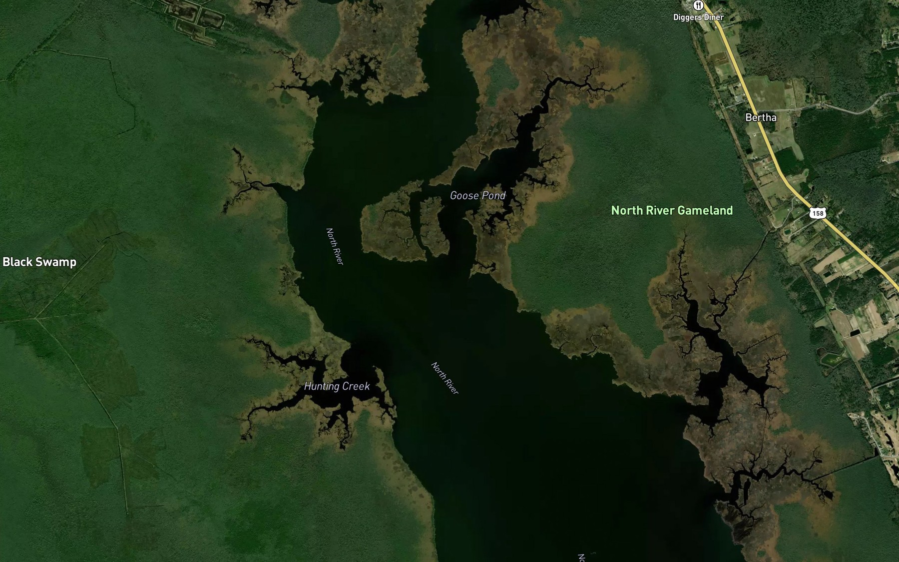 Satellite map of the Goose Pond