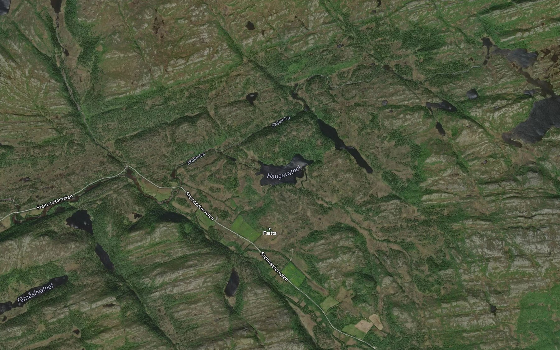 Satellite map of the Haugavatnet