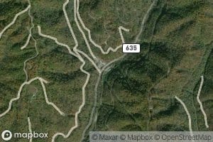 Left Fork Linn Camp Branch