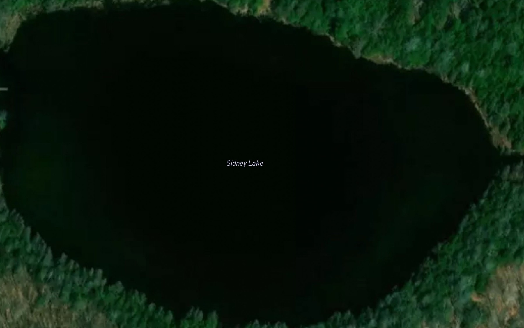 Satellite map of the Sidney Lake