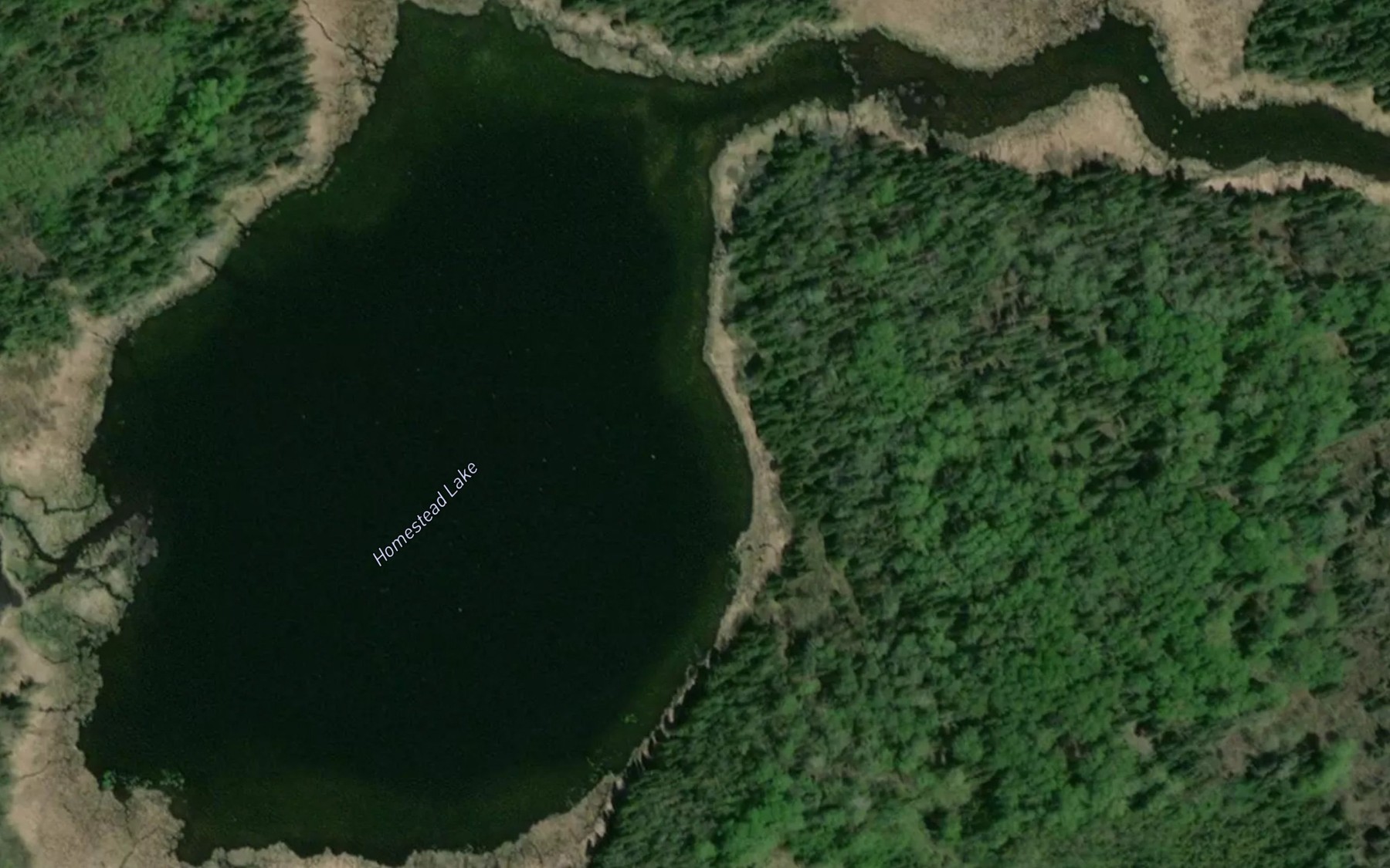 Satellite map of the Homestead Lake