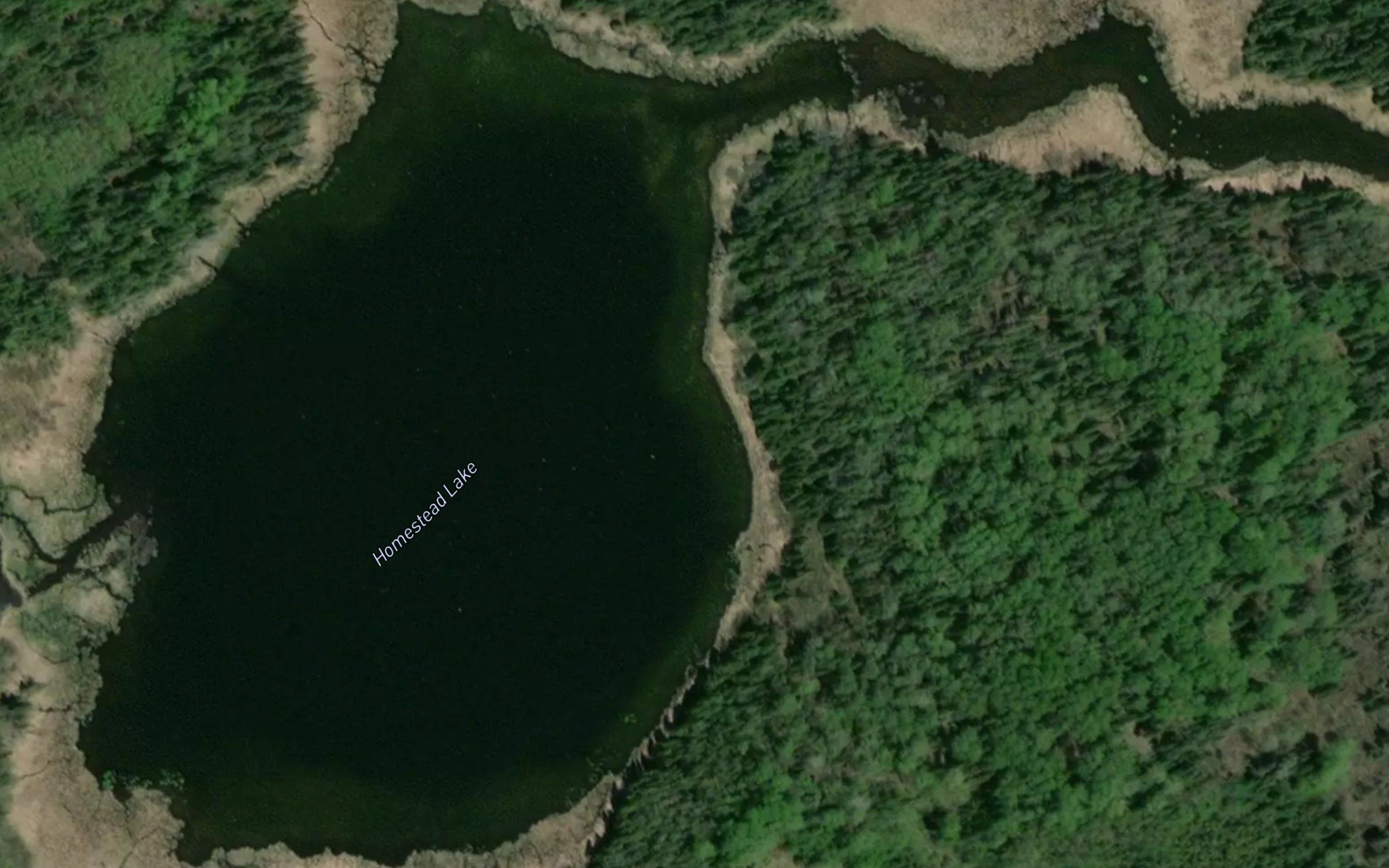 Homestead Lake