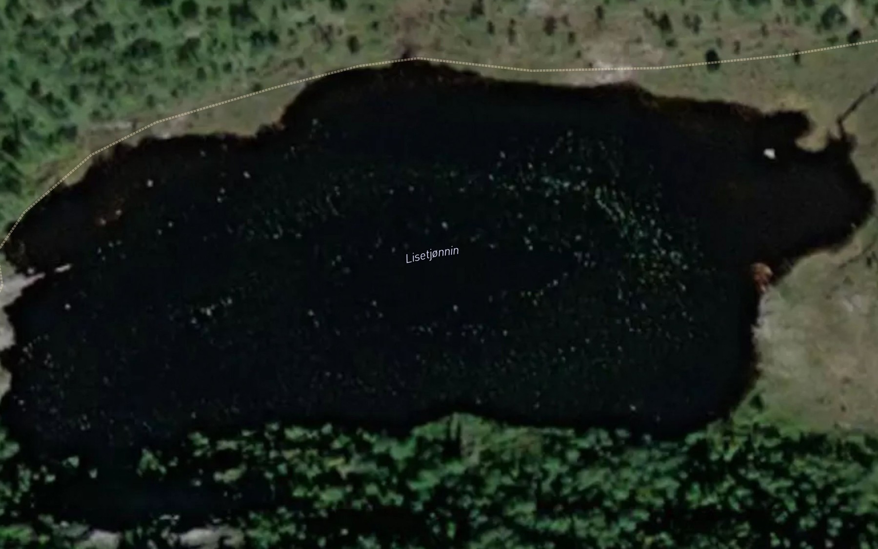 Satellite map of the Lisetjornin