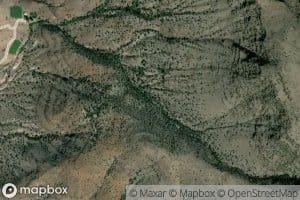 Junction Springs