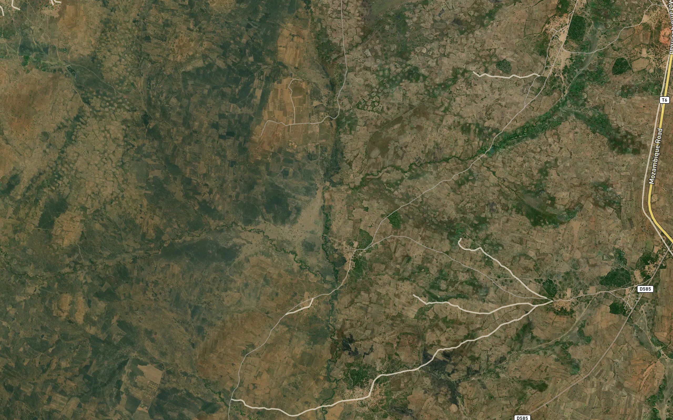 Nyamanzi