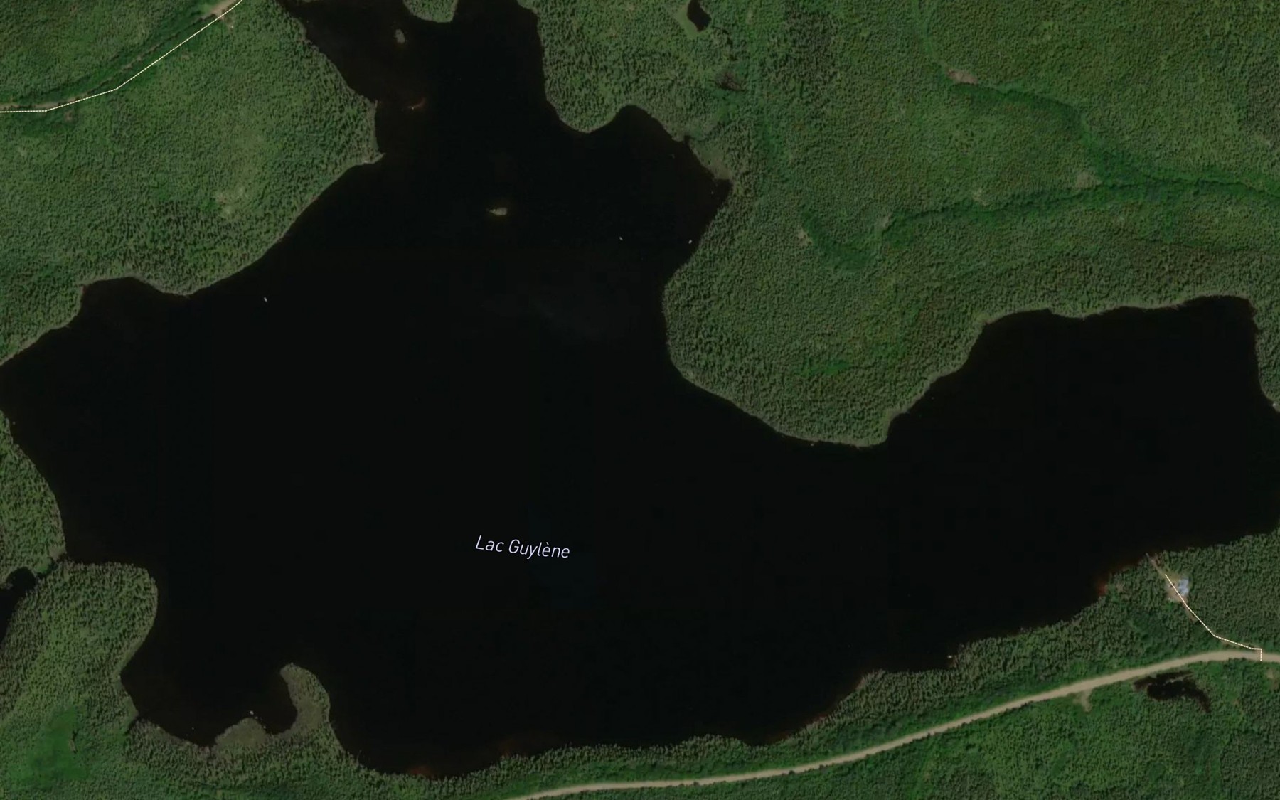 Satellite map of the Lac Guylene