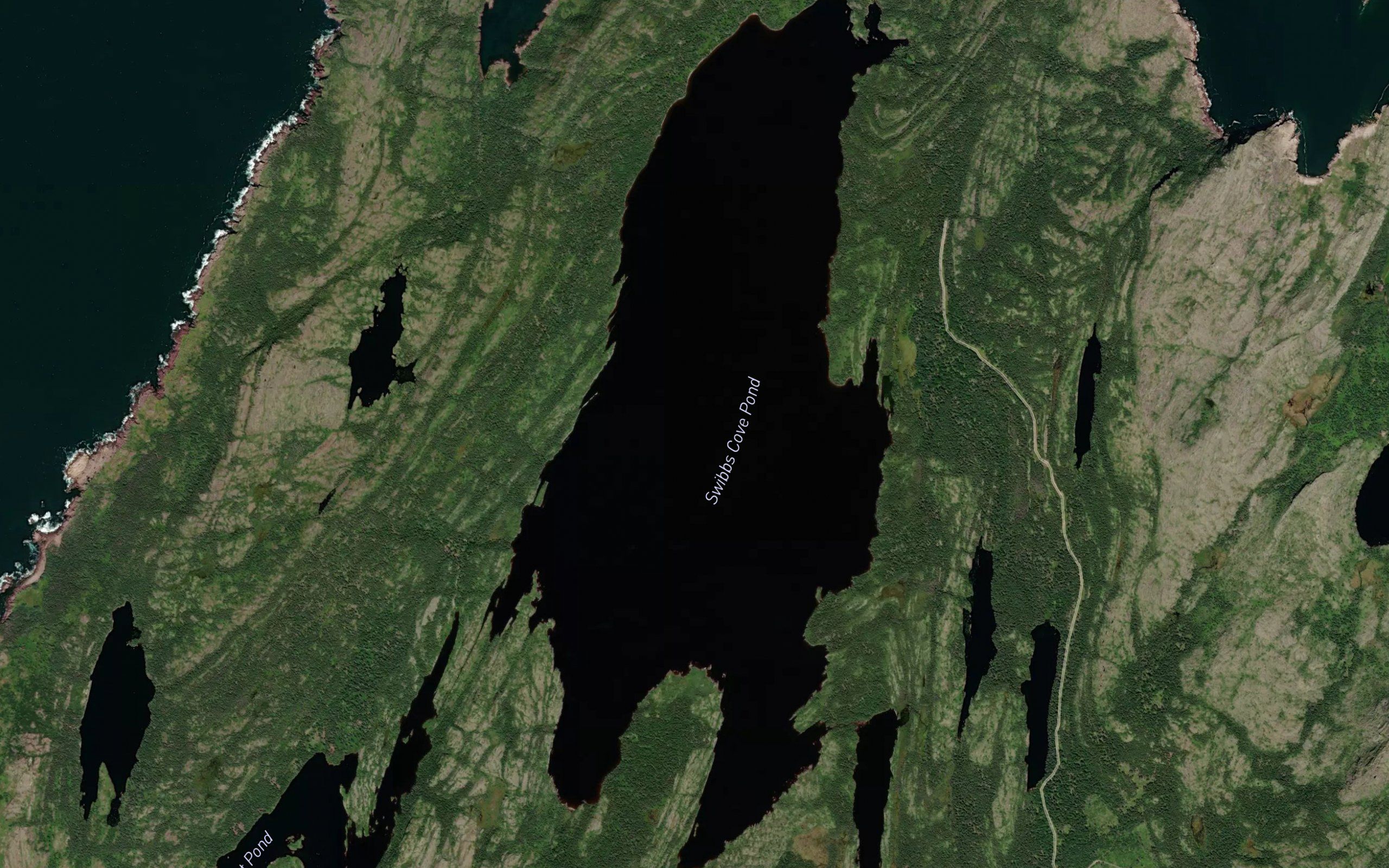 Swibbs Cove Pond