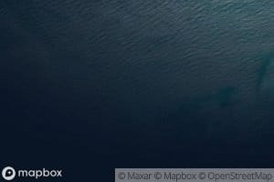 Bajo Corona del Tingo