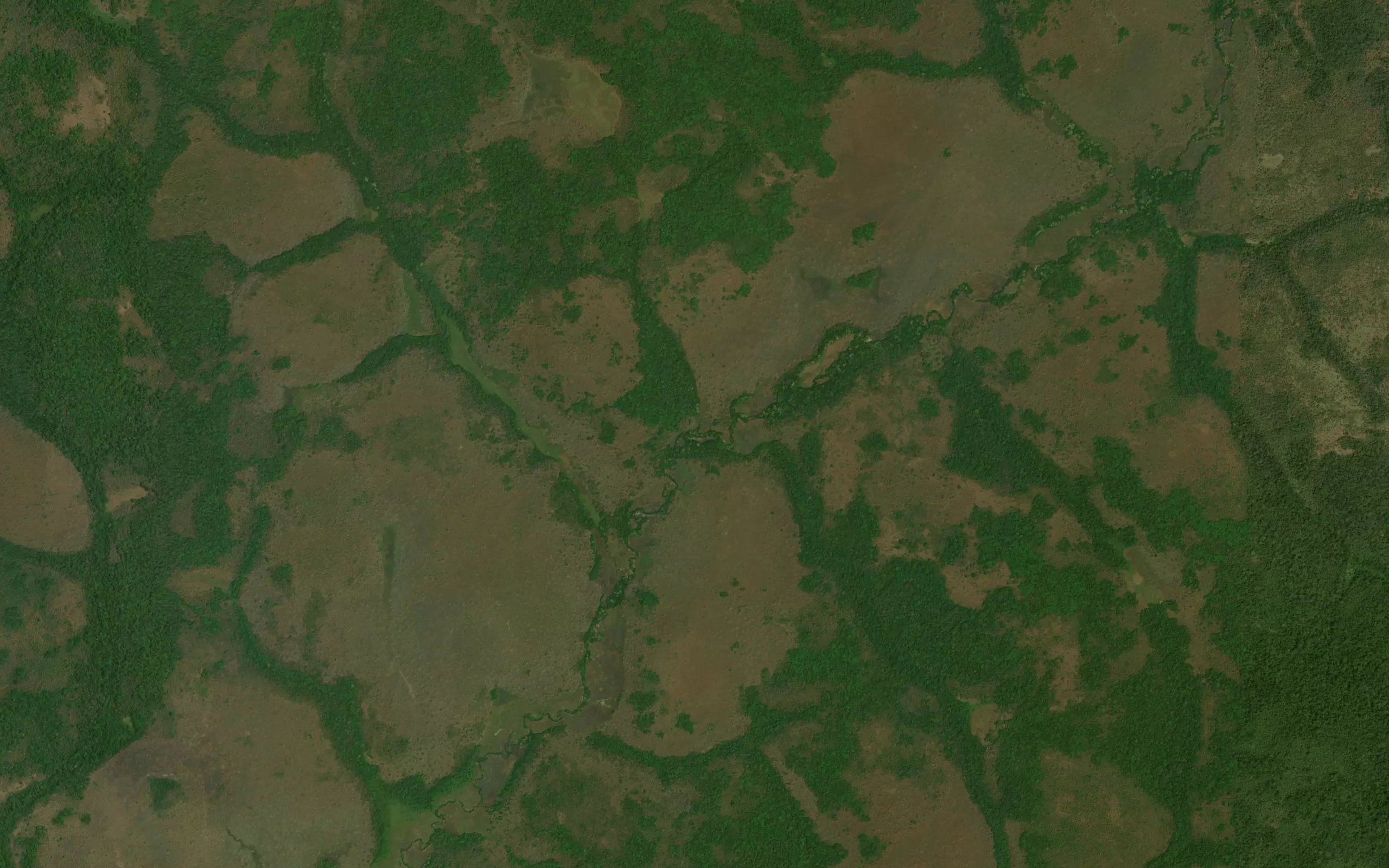 Nanungu