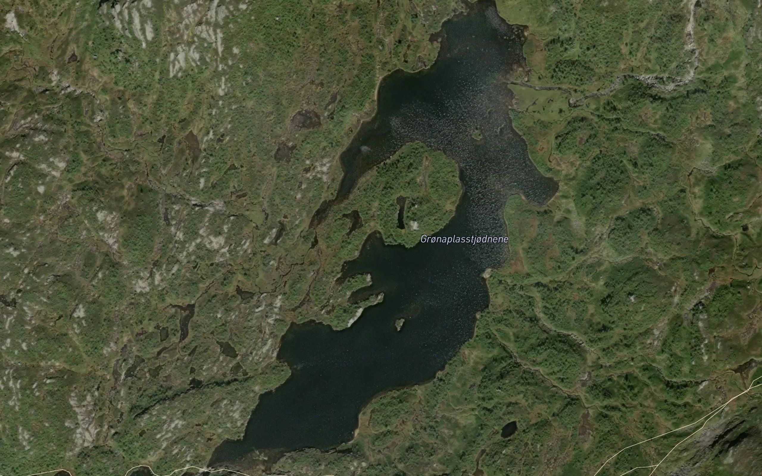 Gronaplasstjorni