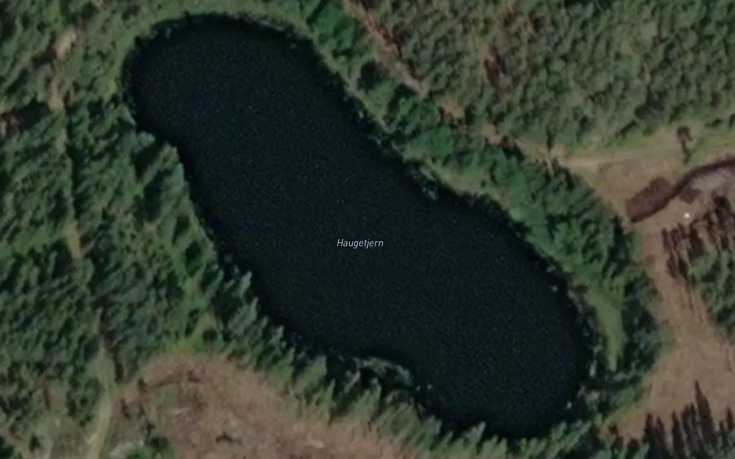 Haugetjern