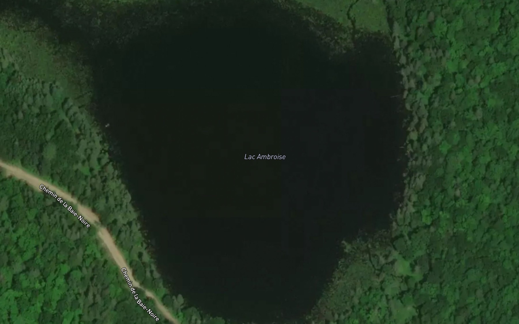 Satellite map of the Lac Ambroise