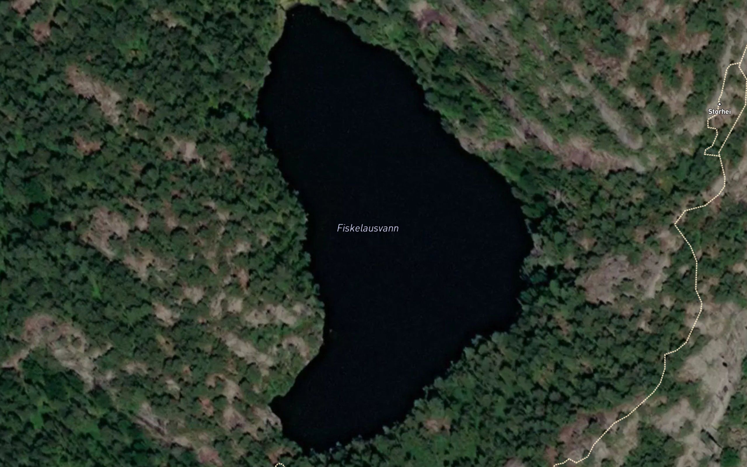 Fiskelausvann